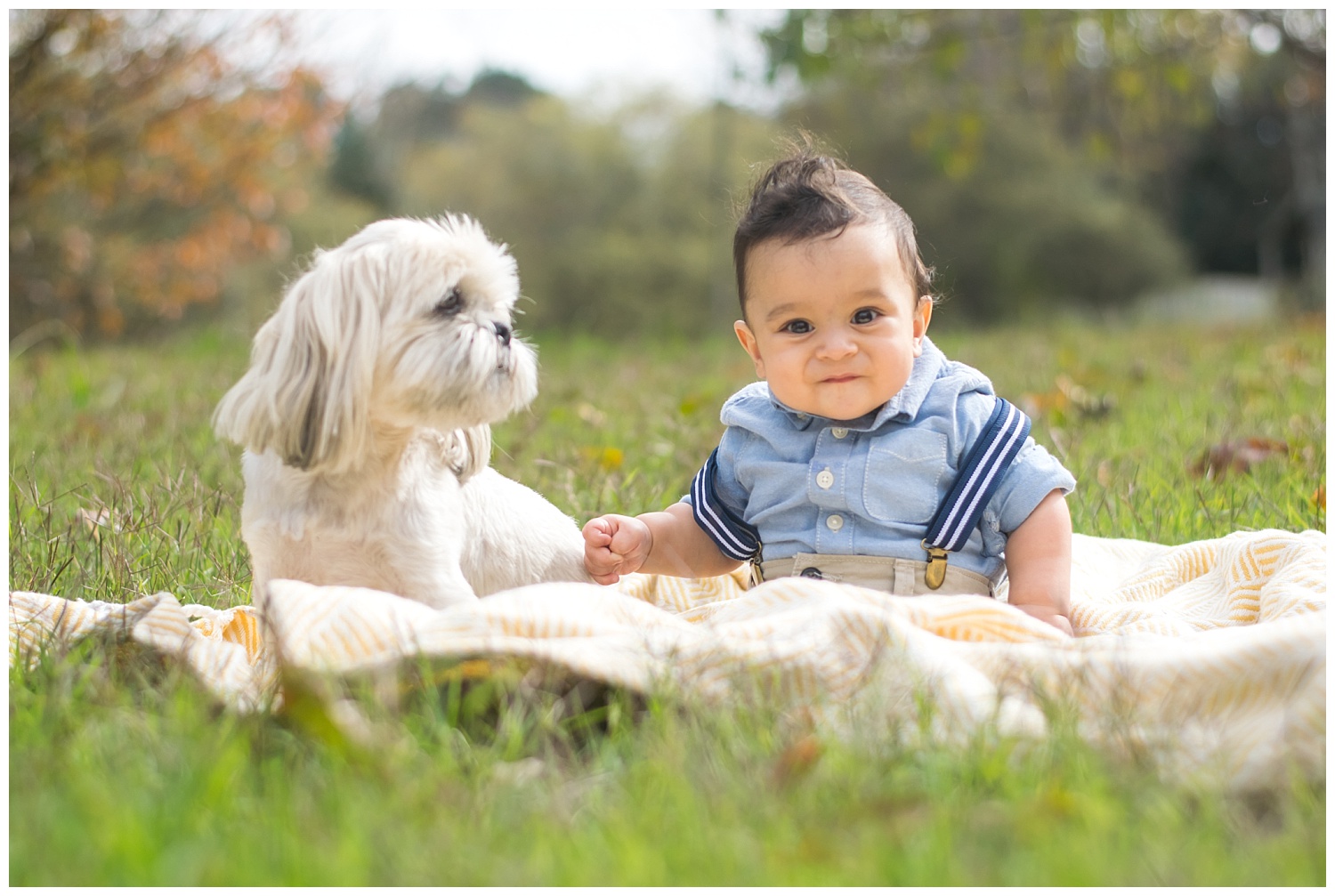 this is an image of a six month old baby boy sitting outside on a blanket next to their family dog. the child is smiling and looking at the camera.