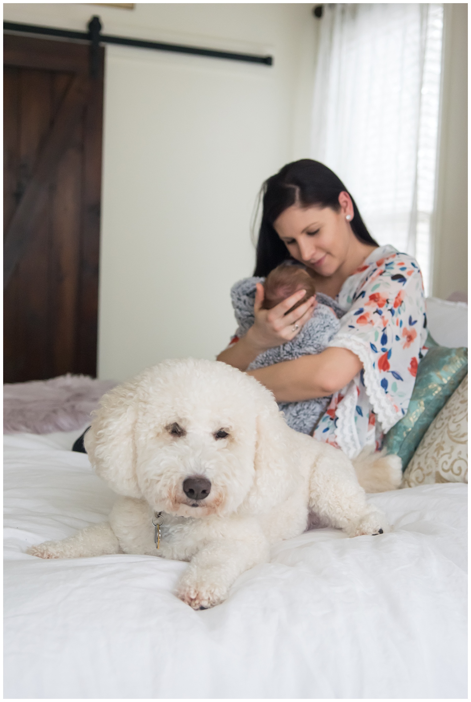 these images were taken in atlanta, georgia during an in home lifestyle newborn session. the focus is on the family dog and mom is holding the newborn baby girl in the background of the photo.