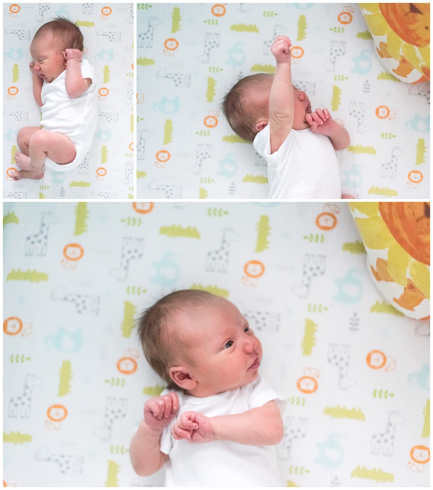 3-steps-relaxed-newborn-session-atlanta-family-photographers-2