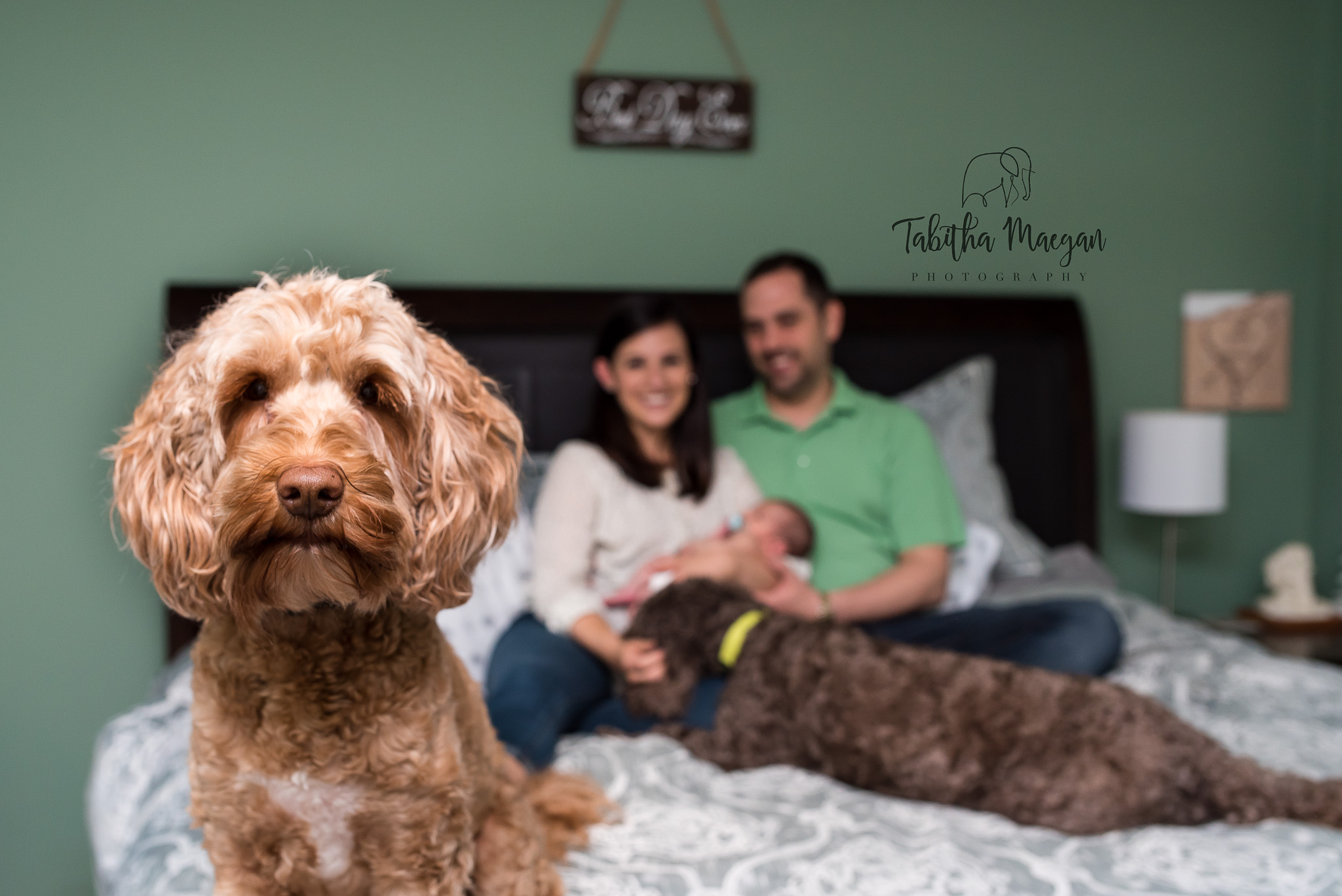 lifestyle-newborn-session-atlanta-georgia-5