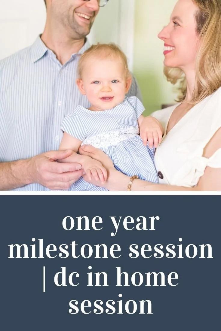 One Year Milestone Session at Home | DC Family Photography