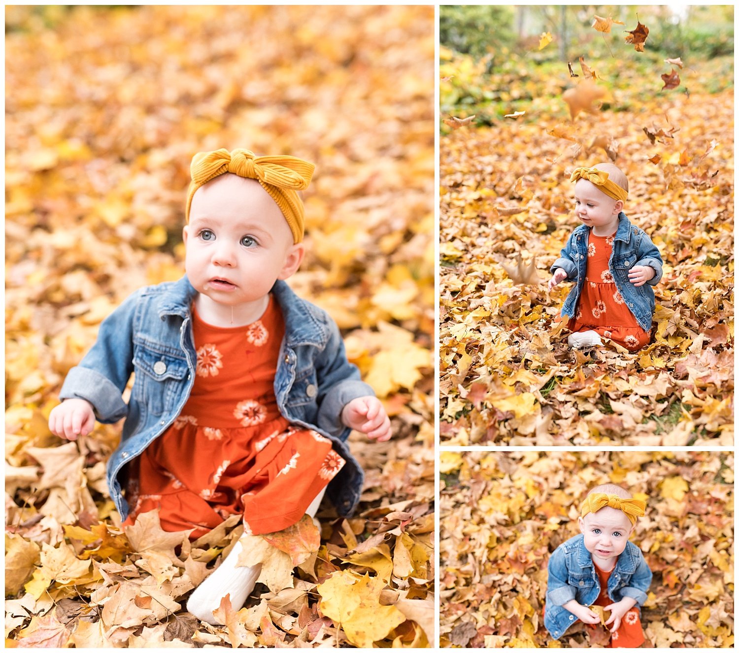 brookside-gardens-family-photographer-tabitha-maegan (4).jpg