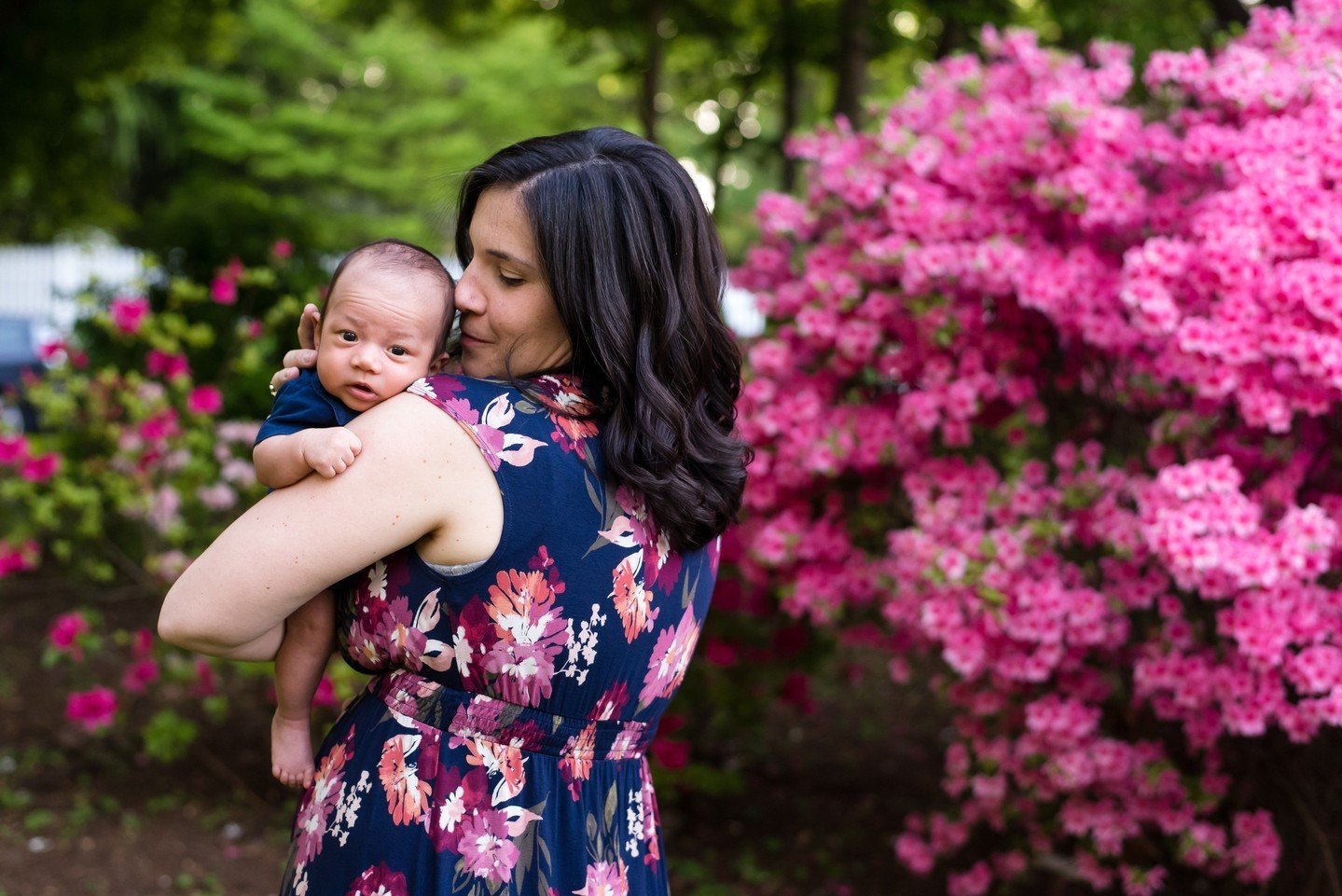 Azalea season!! Check out more from this newborn session in Kensington Maryland! https://www.tabithamaeganphoto.com/blog/clum-kennedy-park-kensington-maryland-family-photography #newbornphotographymaryland #dcareaphotography #tabithamaeganphotography