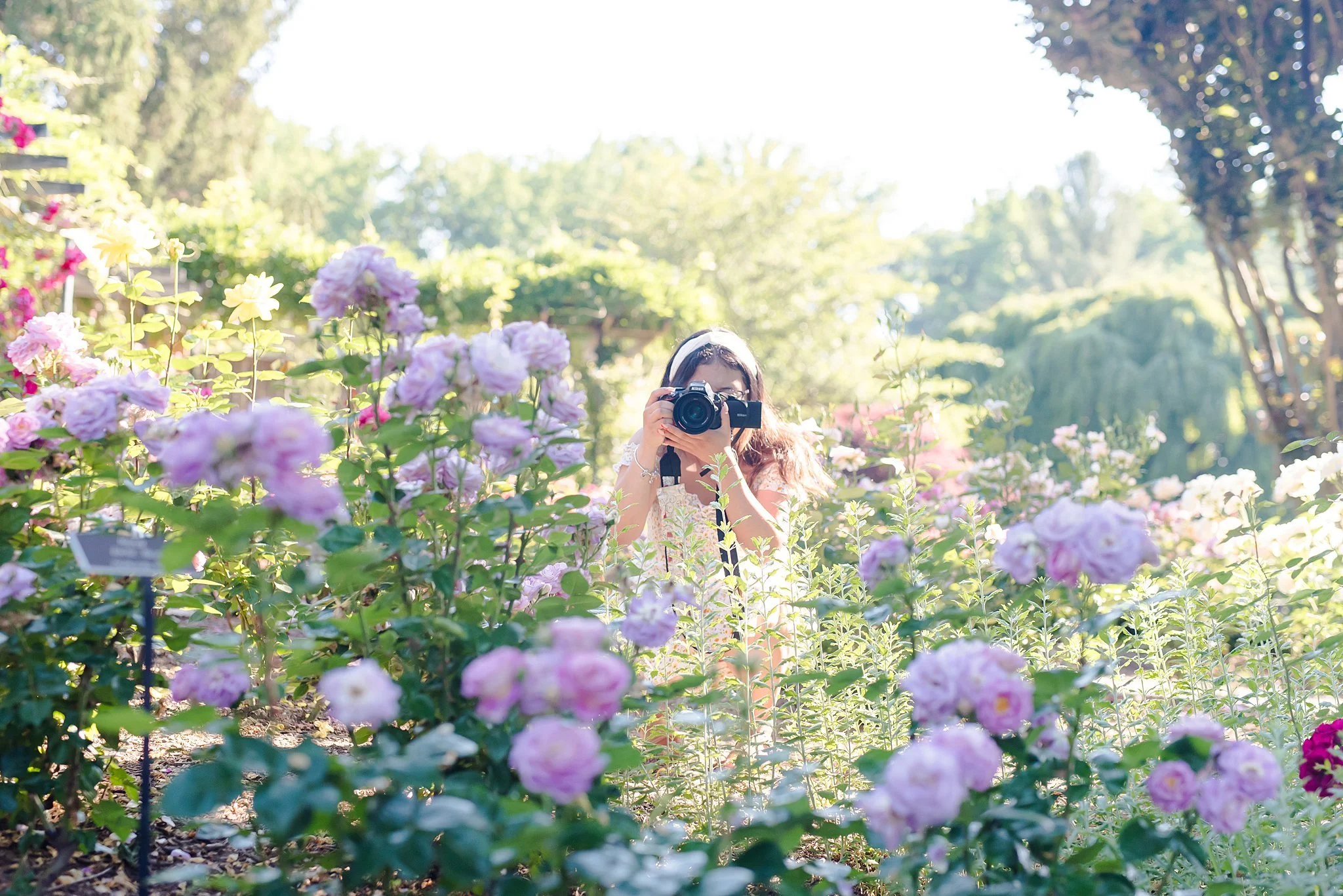 Brookside-Gardens-Tabitha-Maegan-Photography-30.jpg