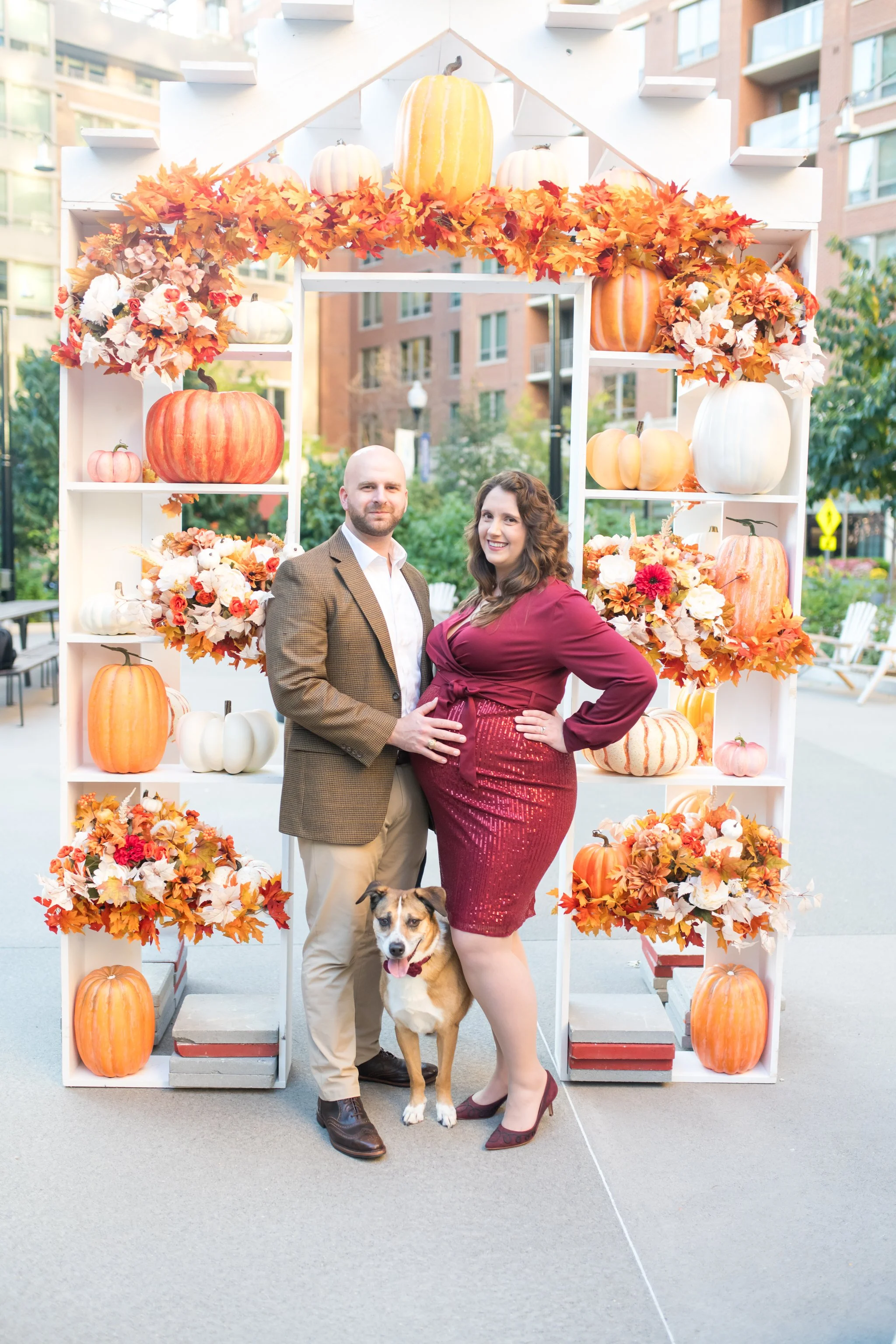 northern-virginia-maternity-photographer (3).jpg