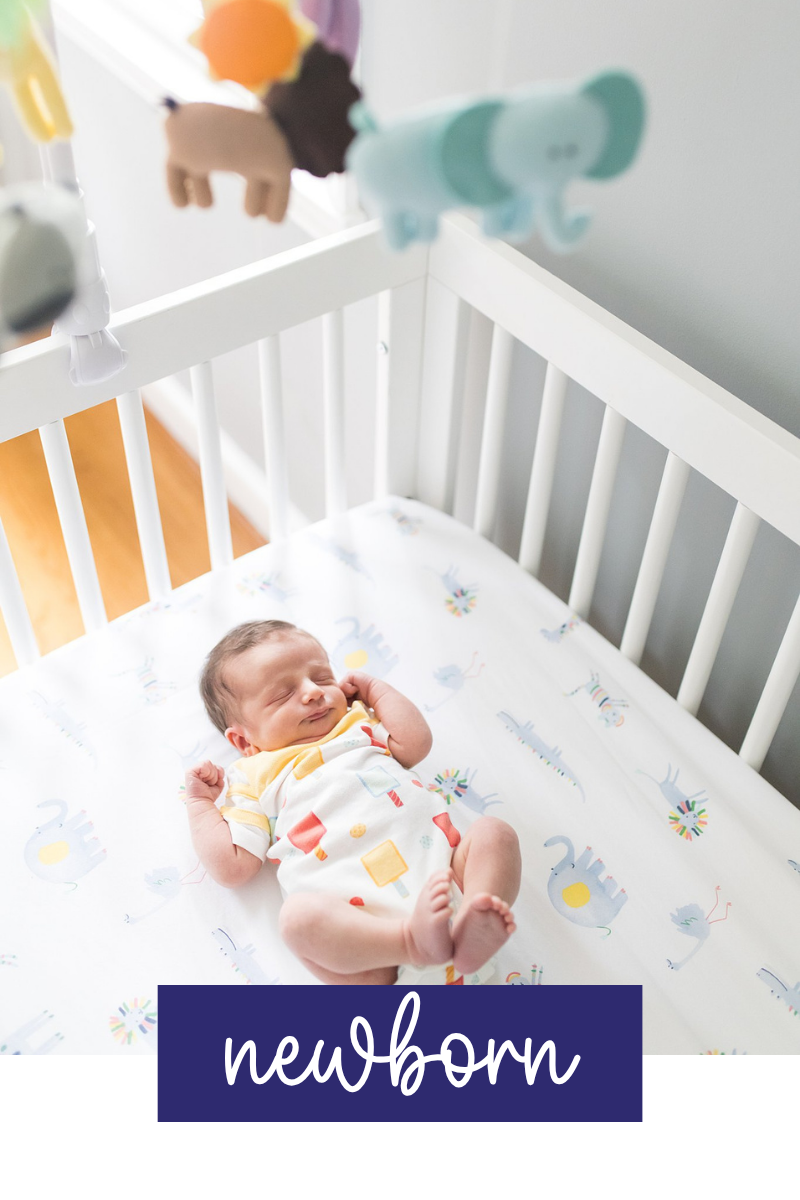 newborn (1).png
