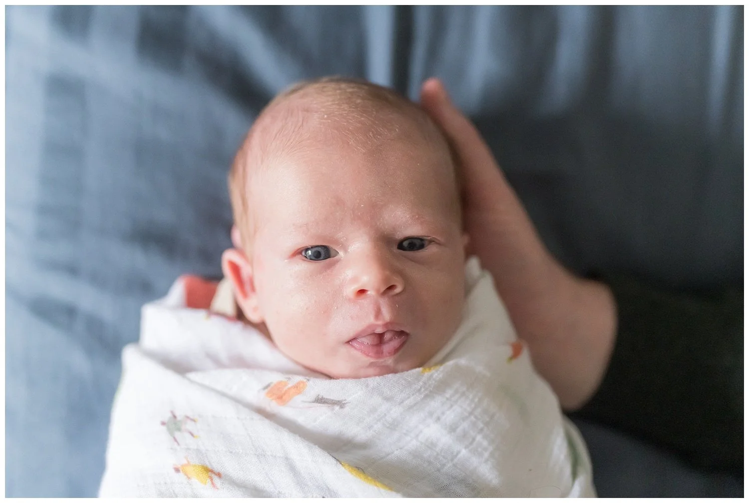 portrait of newborn baby boy in a swaddle at Bethesda newborn photography session with Tabitha Maegan