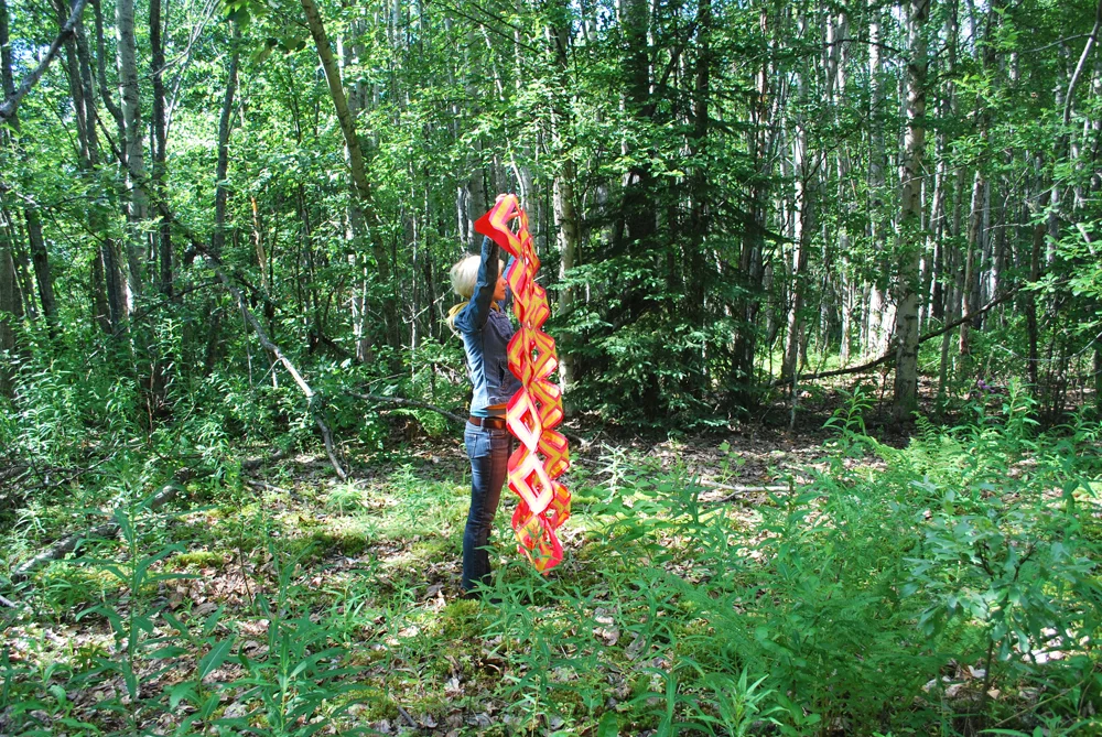 Passive Vis - 2010