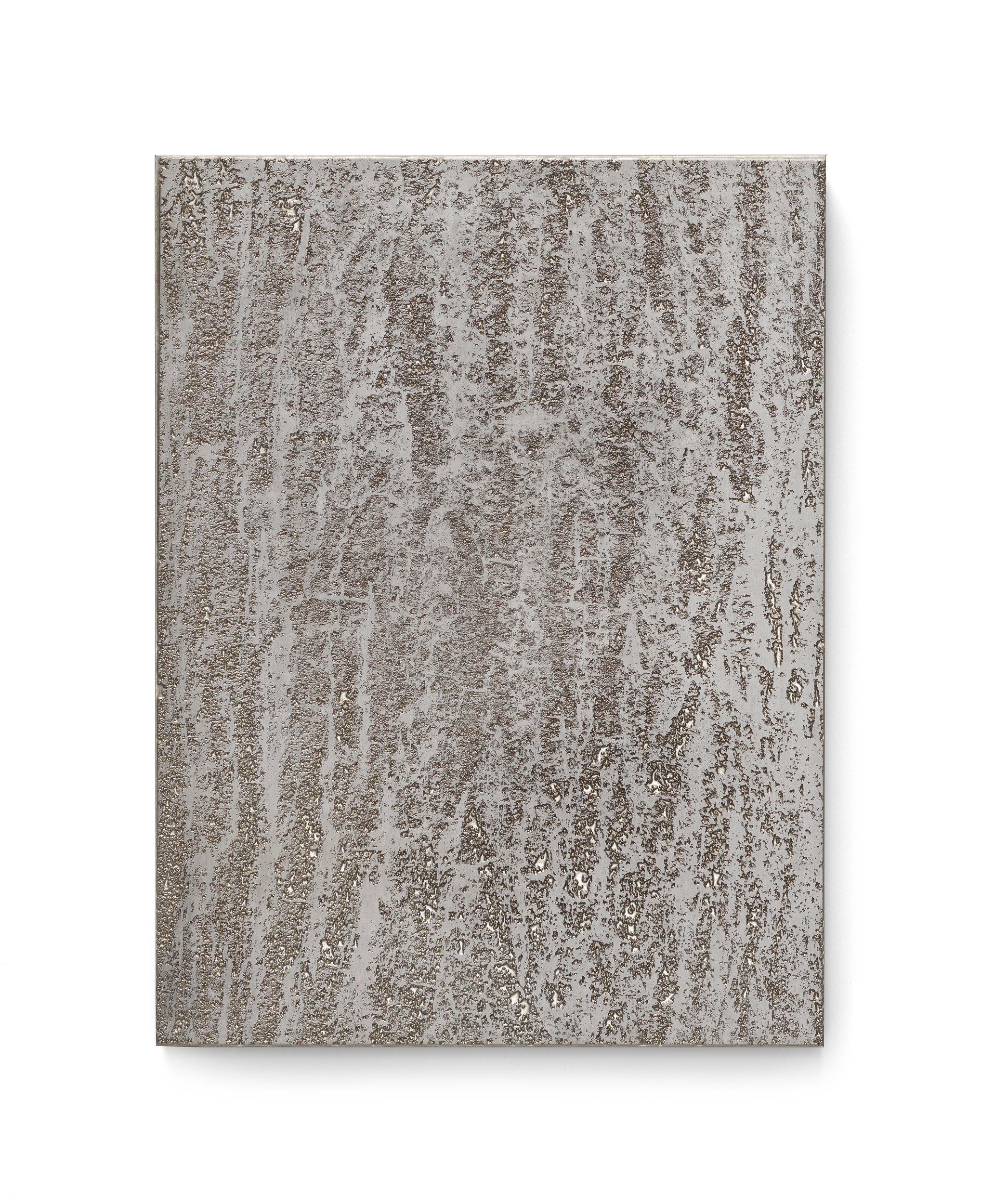 MUD IMAGE - 2025