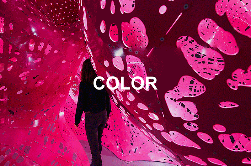 160627_color-vs-coloration-Pink-Text.gif