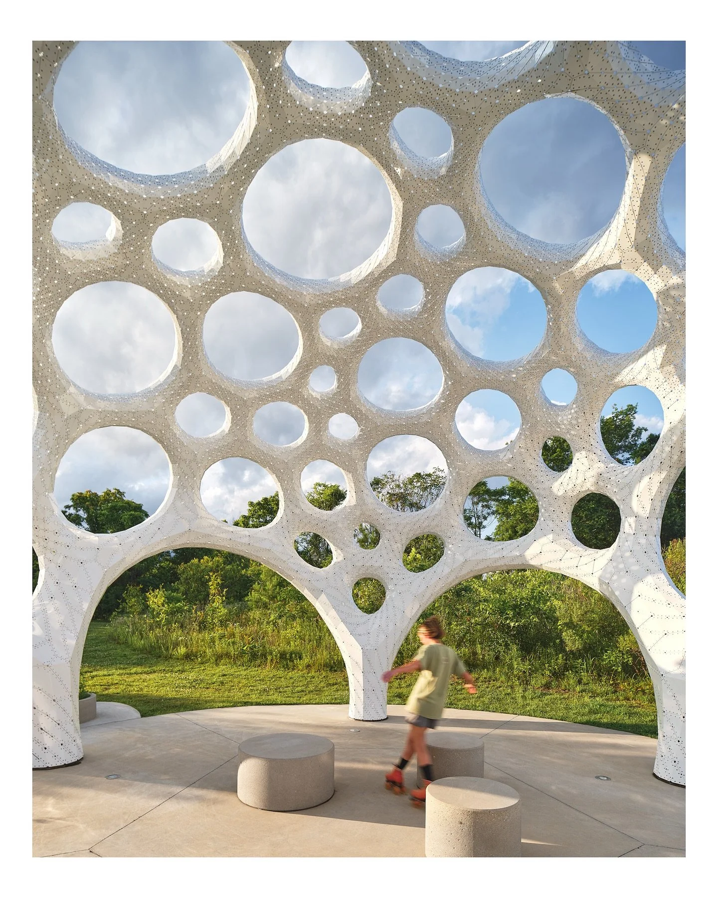 Shell from Cells&hellip;