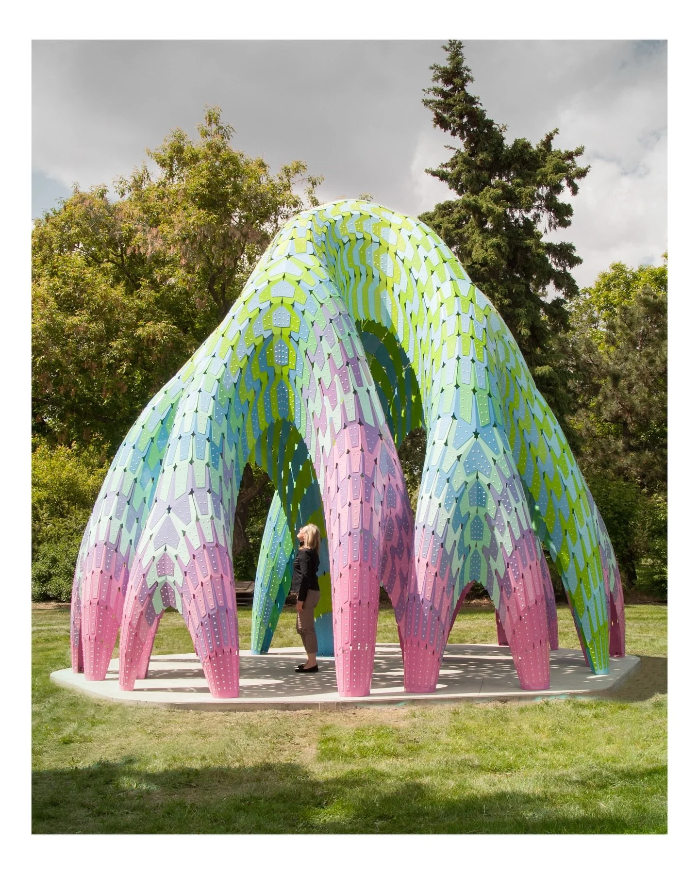 The definition of branching out #willow #structure