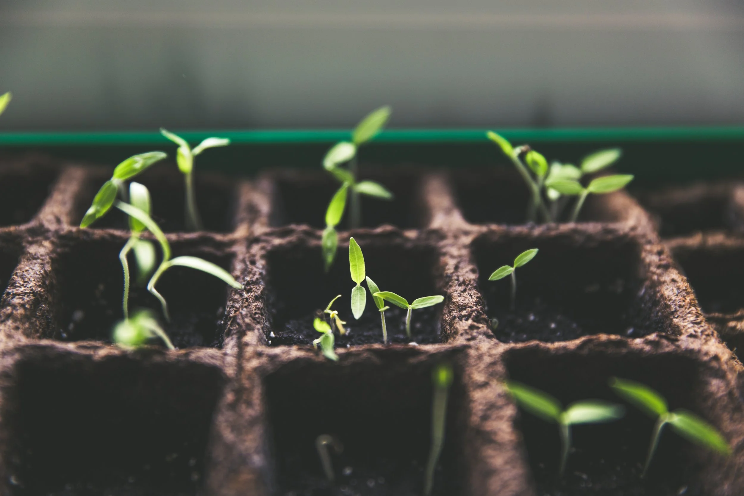Growing Up Spiritually: Chapters 1 & 2