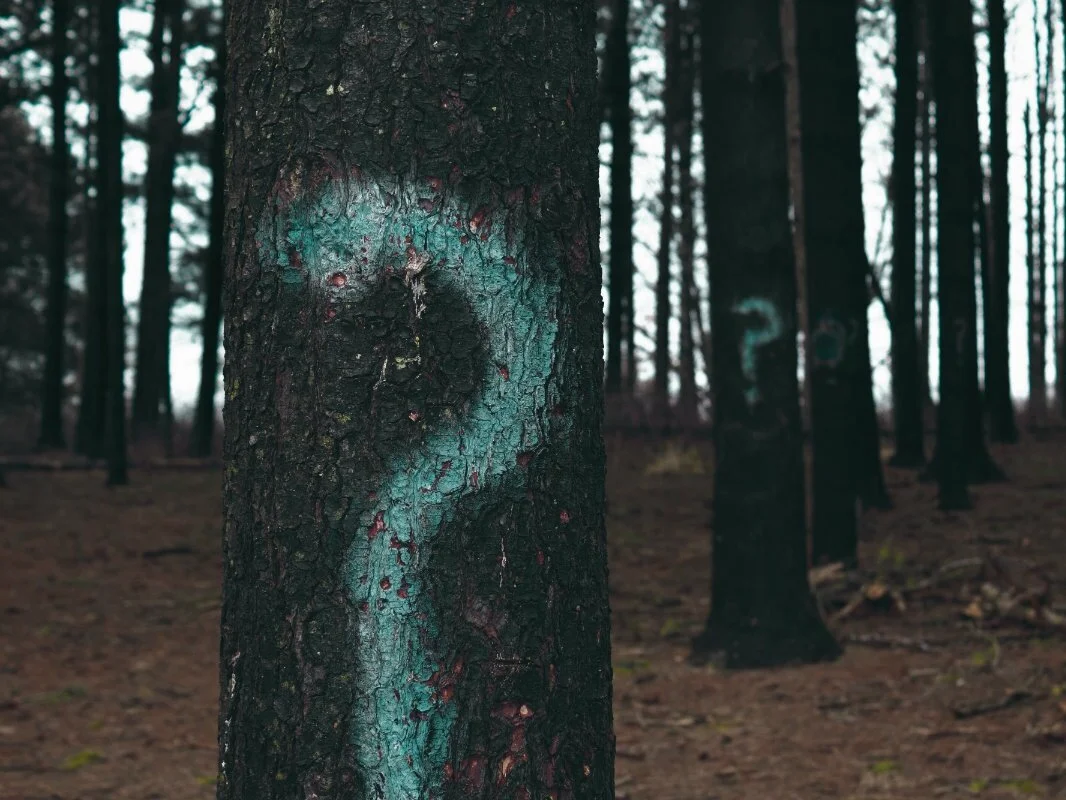 Five Questions Every Church Should Be Asking