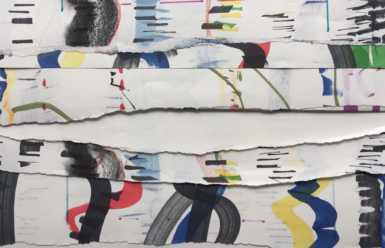 Morrill Imbrication.jpeg