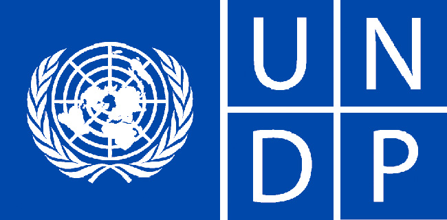 undp-logo.jpg