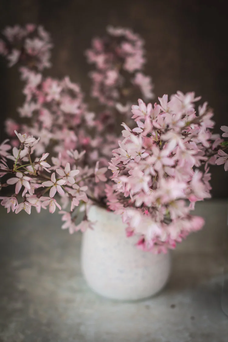 20190324-EM6A8226NUE.jpg