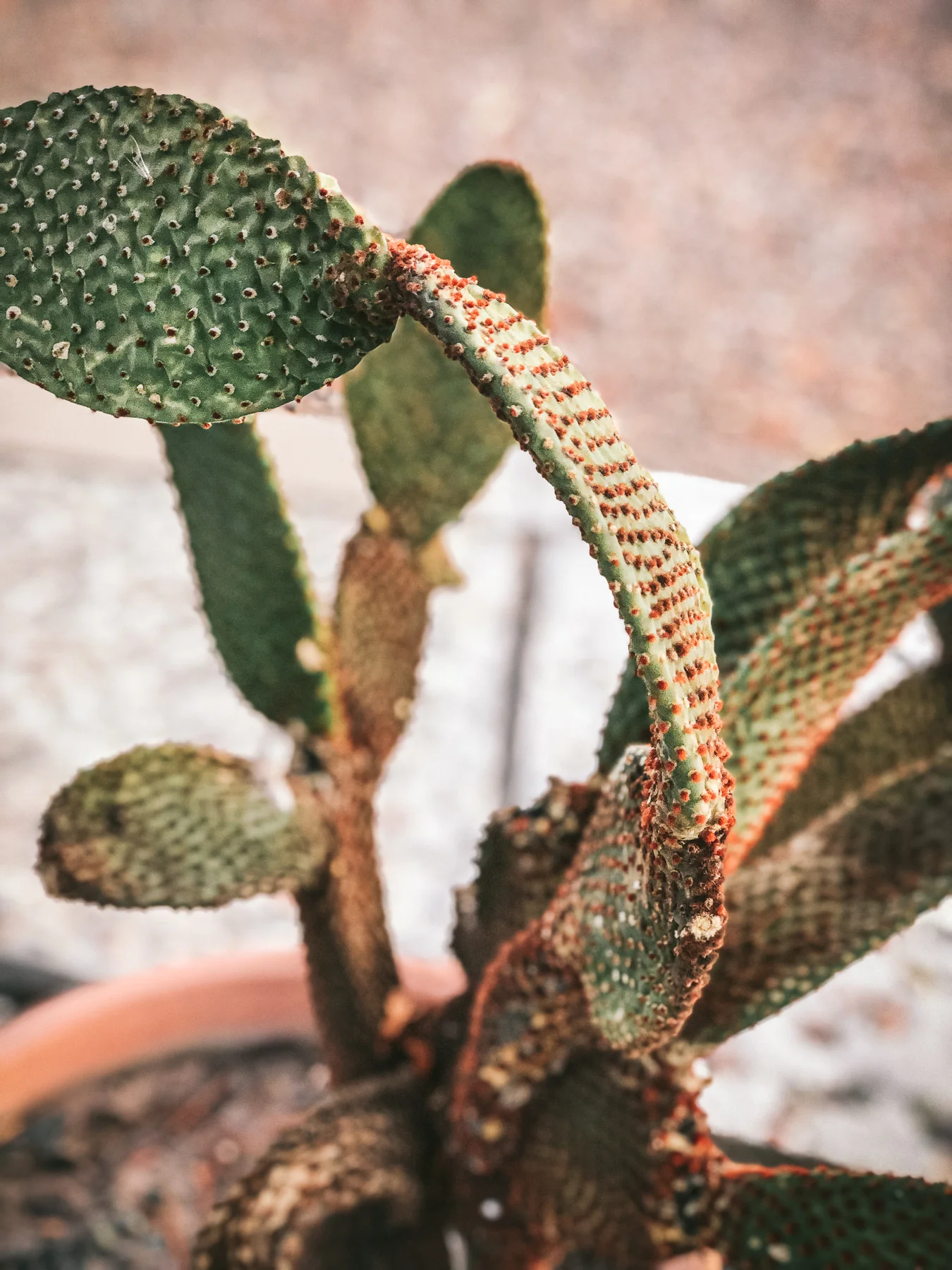 20190414-IMG_4918NUE.jpg