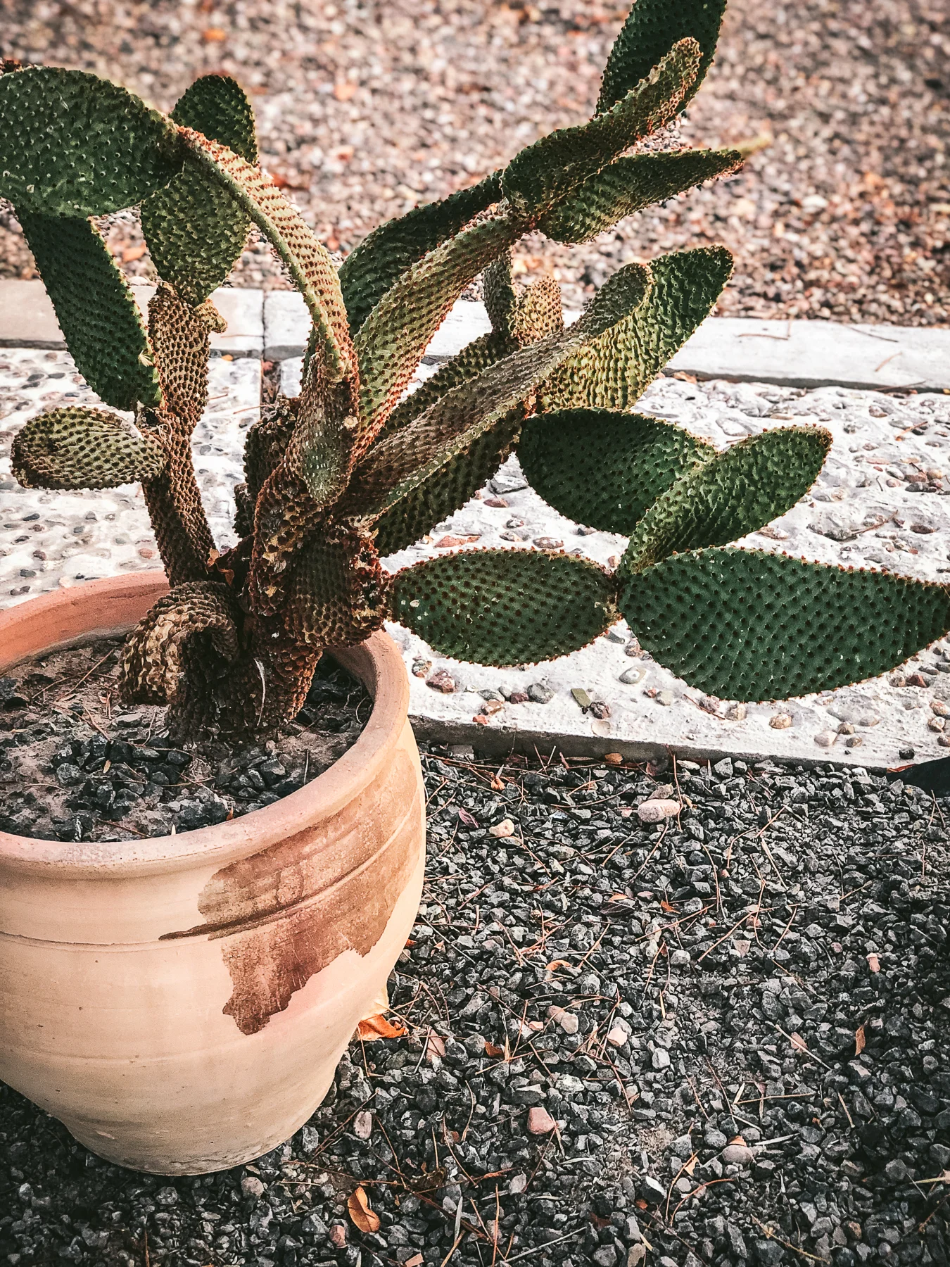 20190414-IMG_4917NUE.jpg