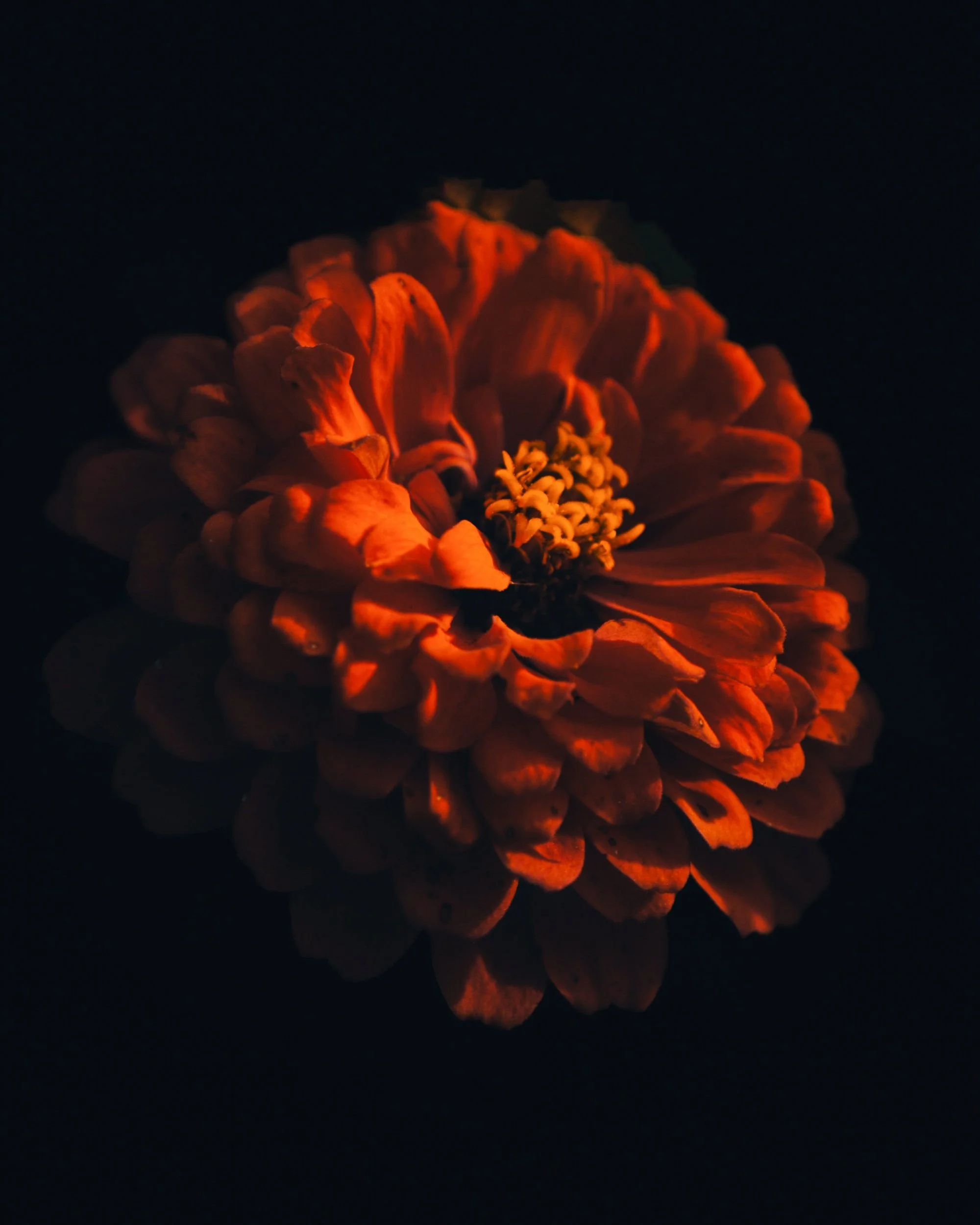 processed_1836.jpg