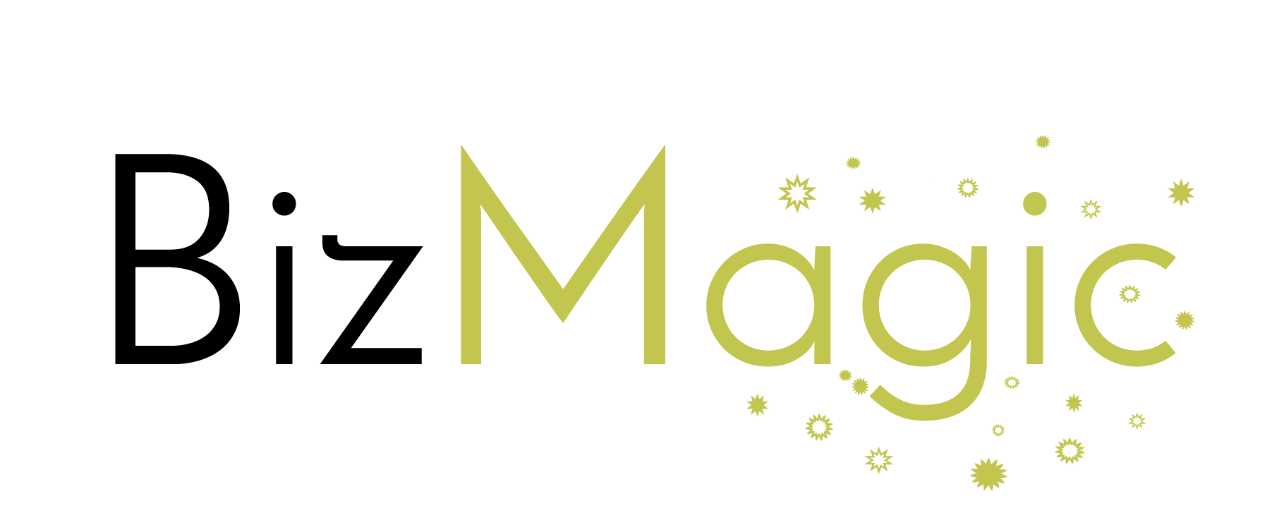 BizMagic Logo_no background.png