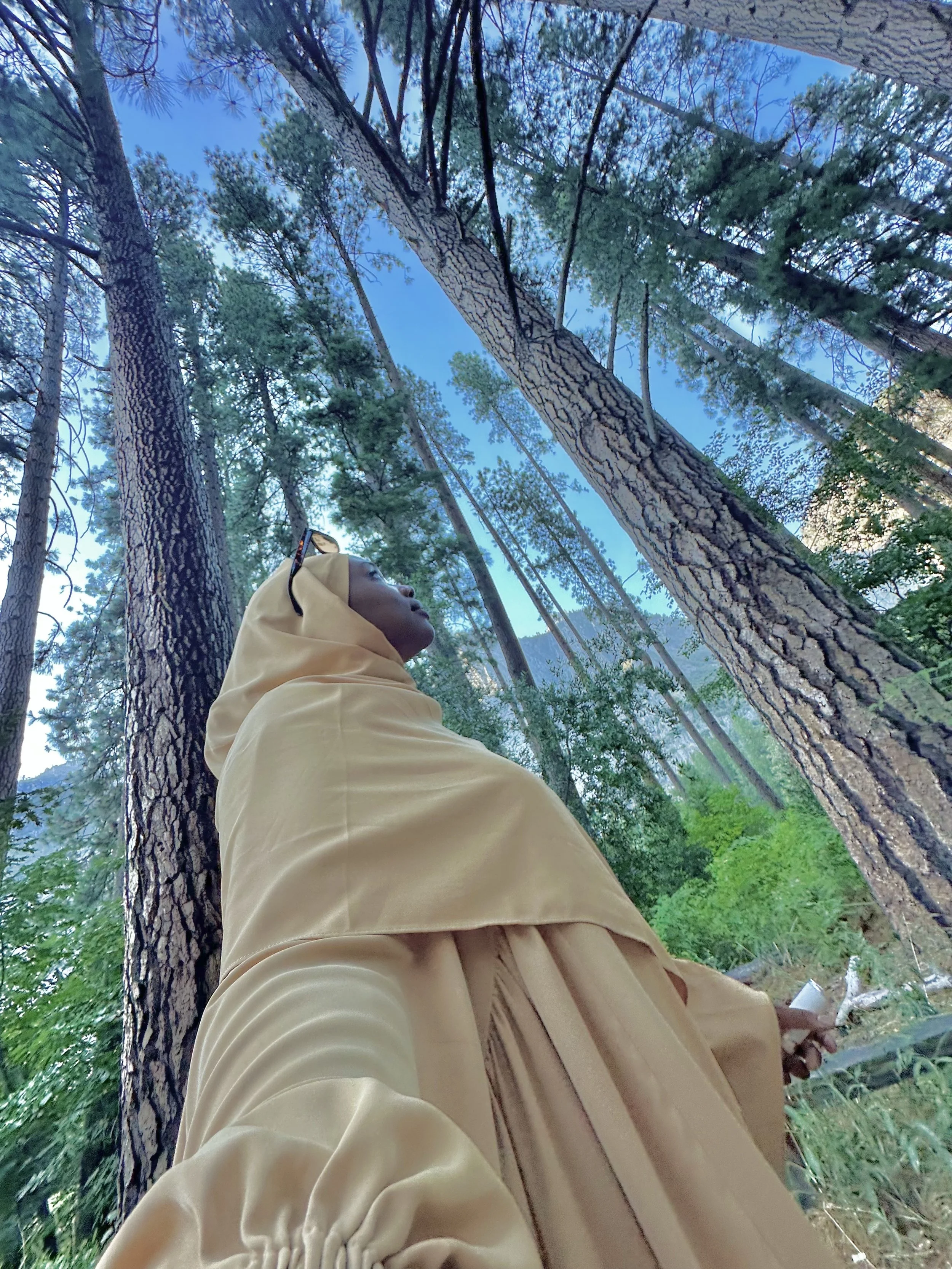 Northern California Adventure! Full Video Itinerary