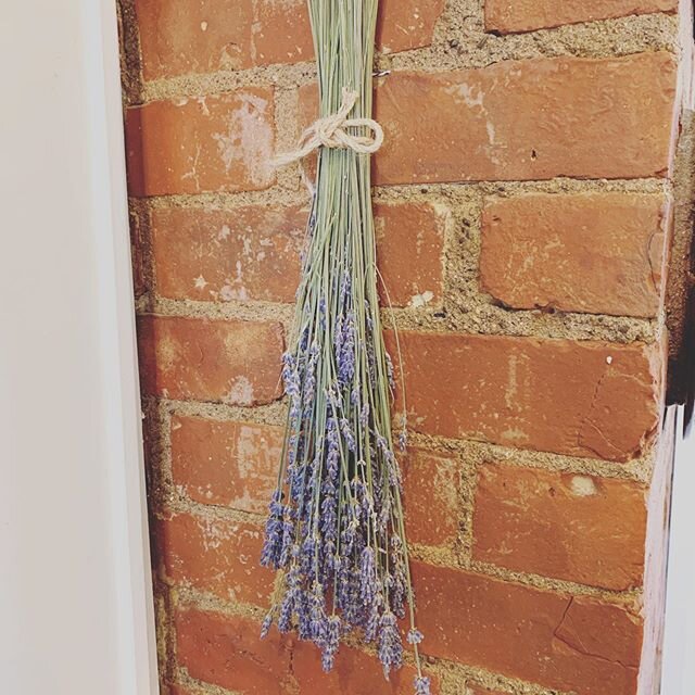 One thing. One thing a day that brings joy, or love, or peace, or light. This lavender is mine today.  L O O K for the beauty, and you&rsquo;ll find it. 💜