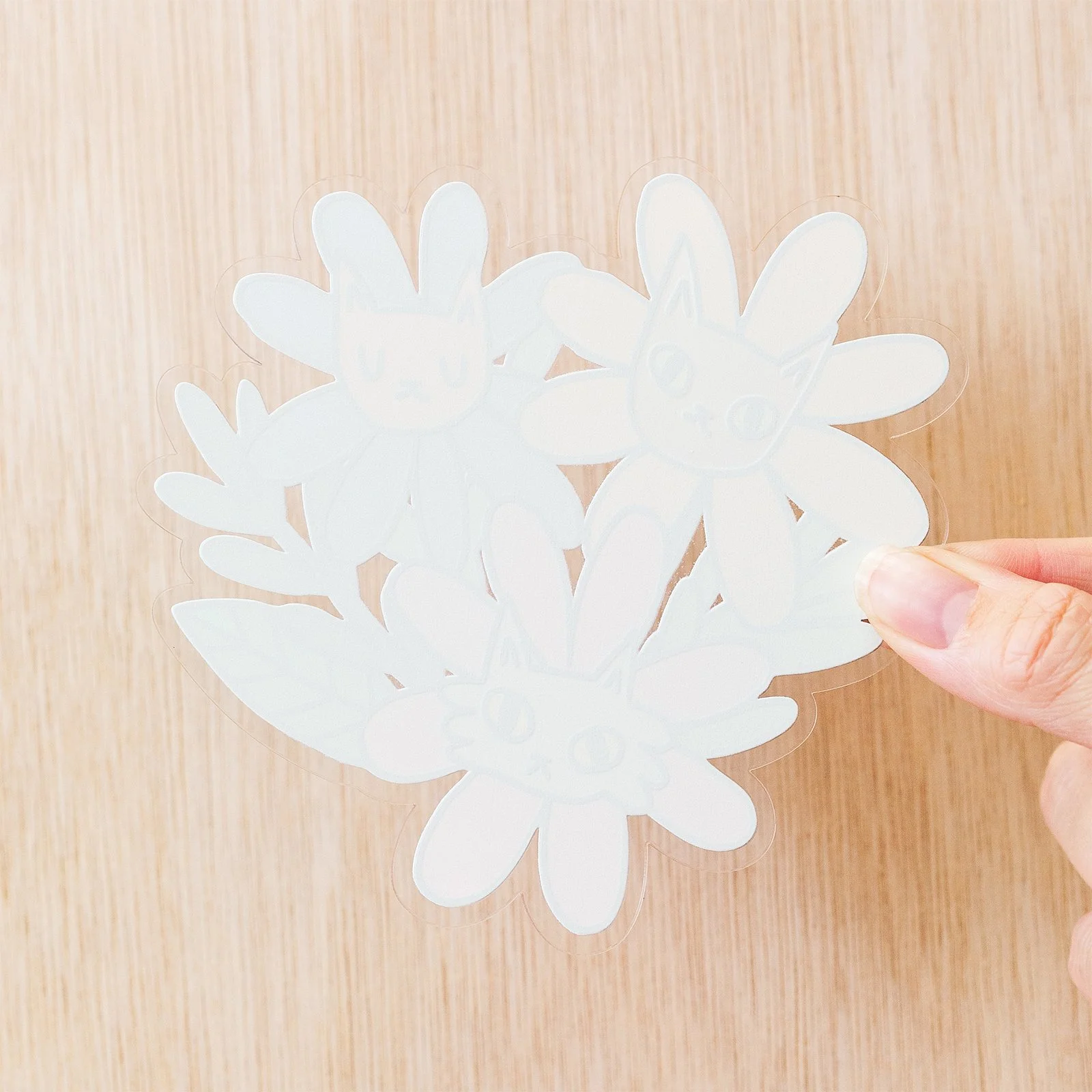 decoration_clear_back_square.jpg