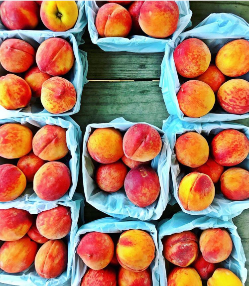 rittenhouse farmers market.png