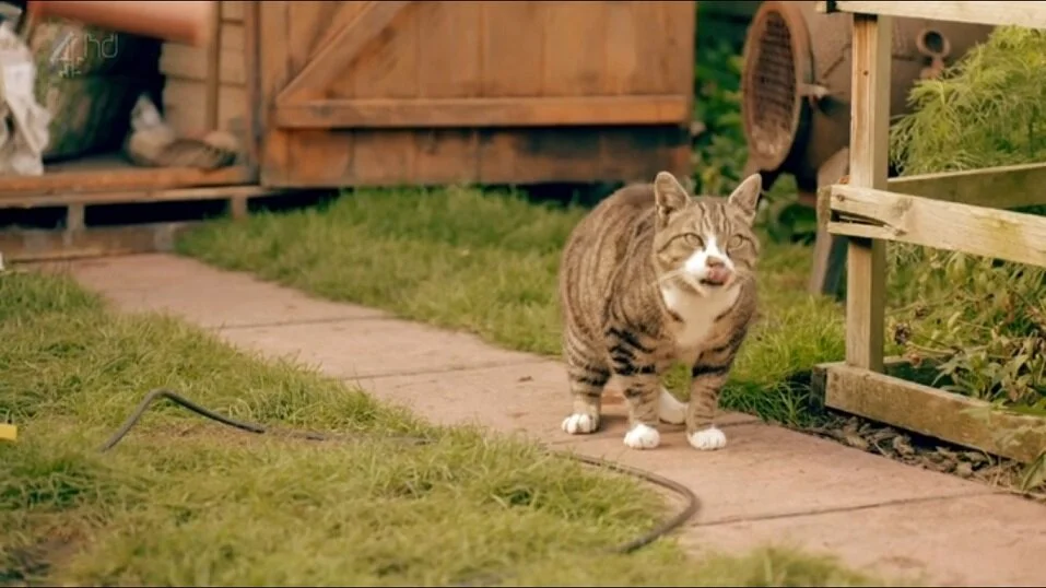 Raised by Wolves - Alien Predator.jpg