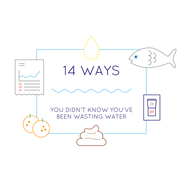 Reduce, Rinse, Repeat: A Room-By-Room Guide to Wasting Less Water 