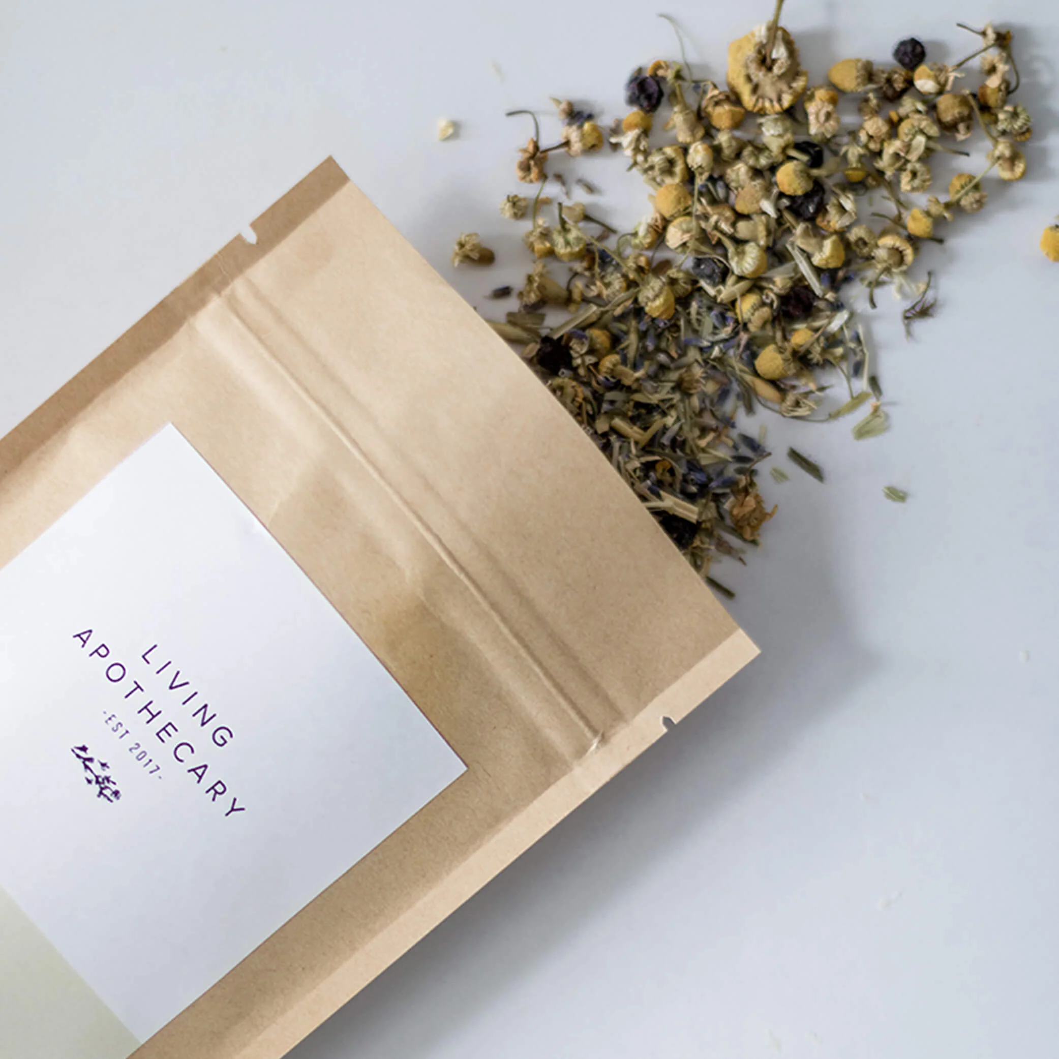 Living Apothecary — Function Creative Co.