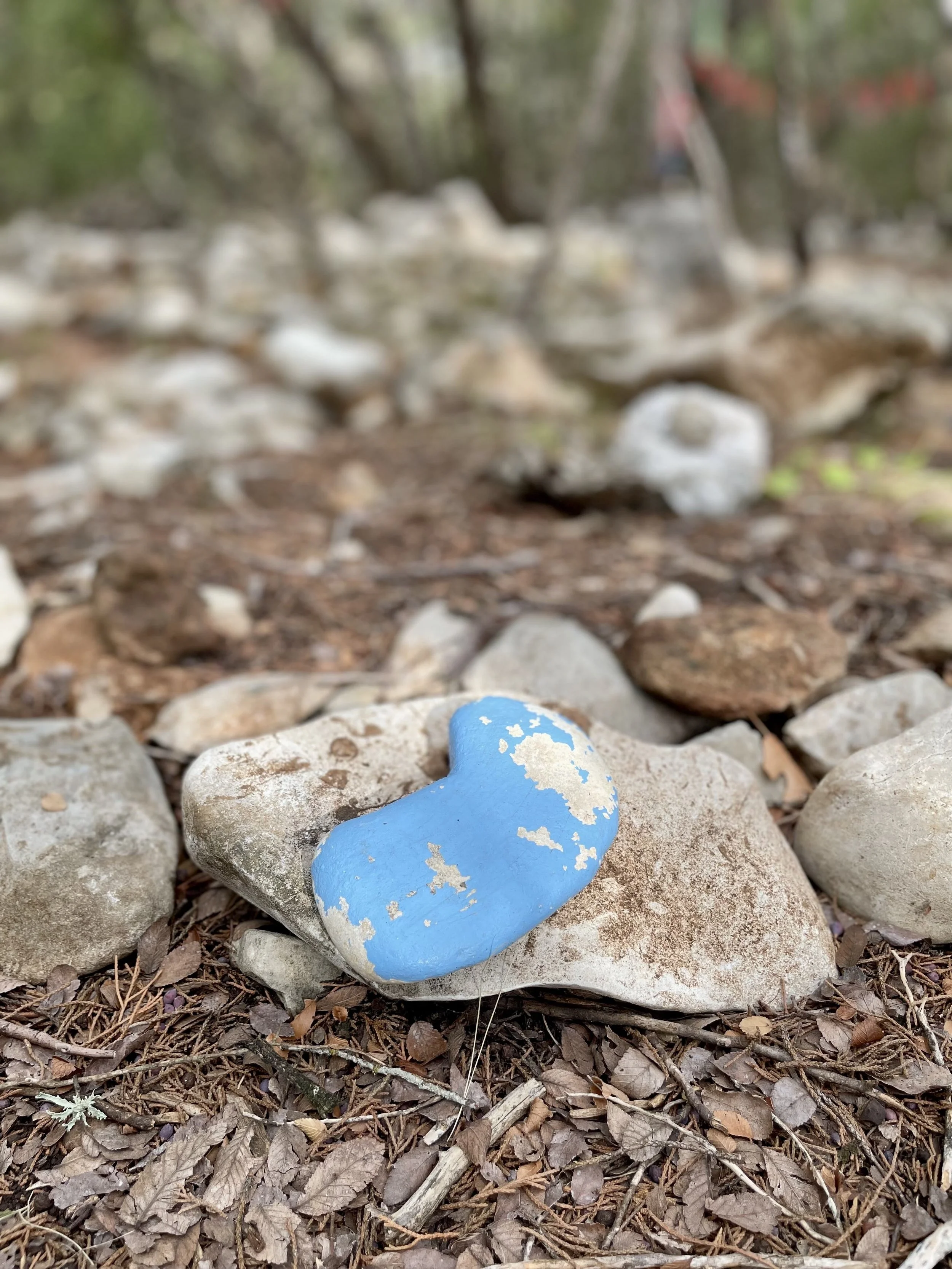 What if your stone were a seed?