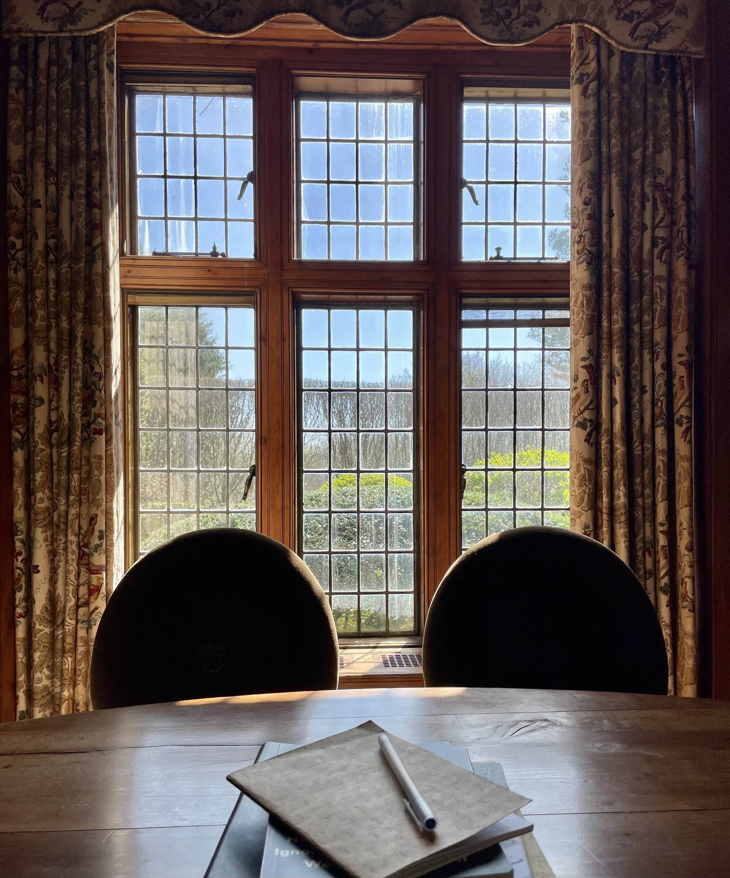 A Room With a View and Writer-Friends