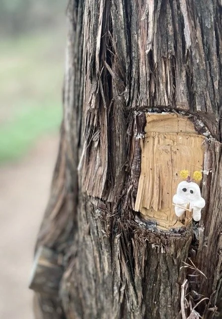 Abundance and Curiosity