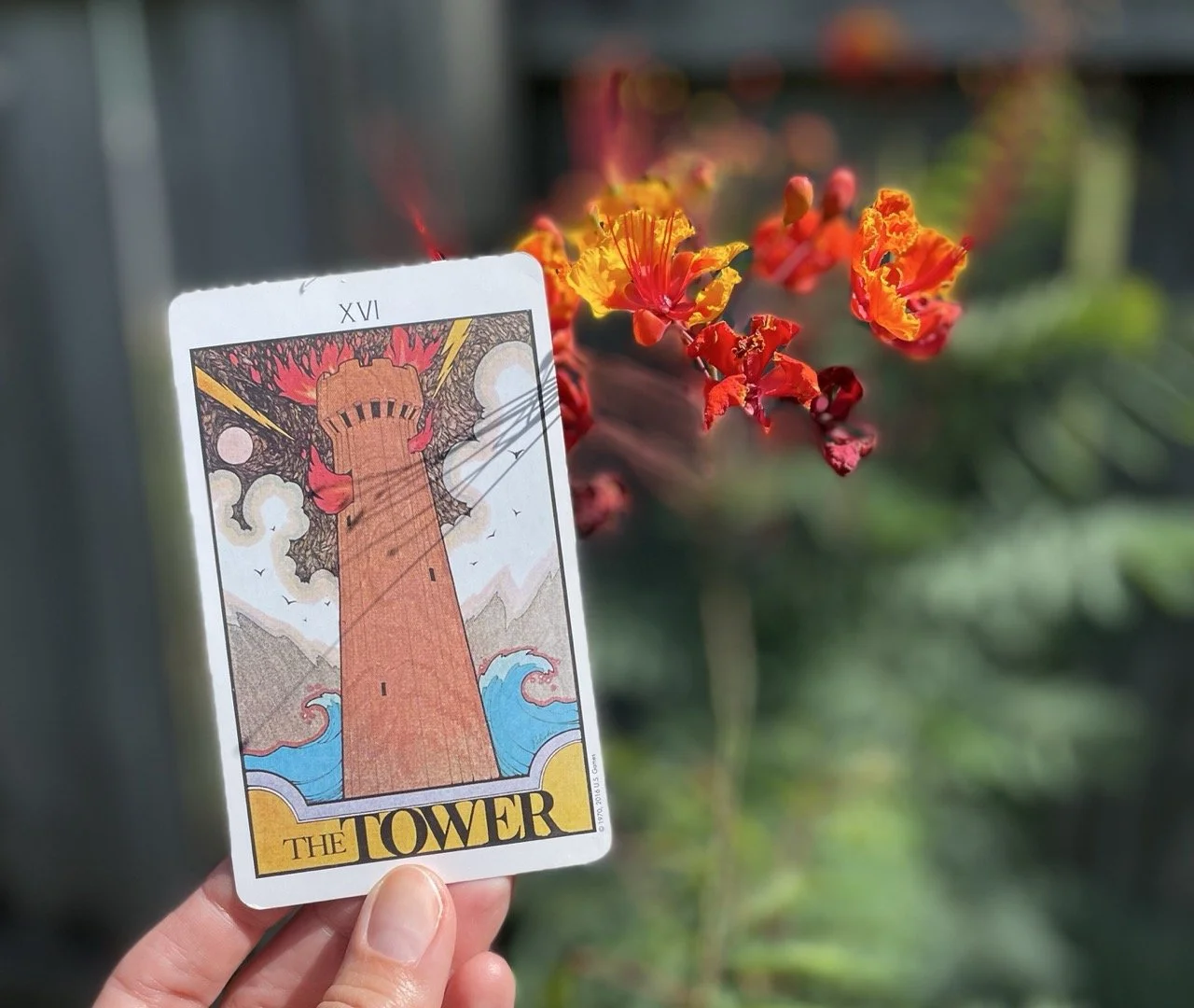 Burn Bright, Plant Anew: The Tower as a Guide for Revision