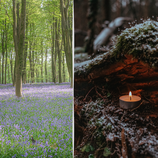 SCC and WCC Dual Purchase.png