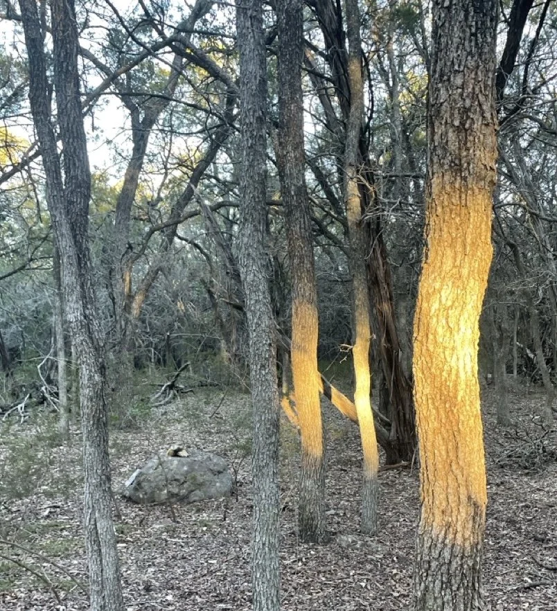 The Waiting Room: Writing for the In-Between Times