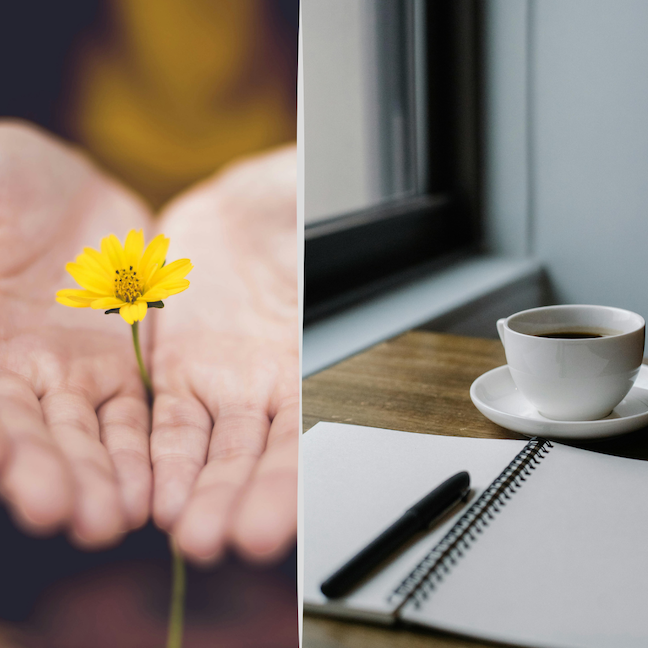 Pitch Language Package.png