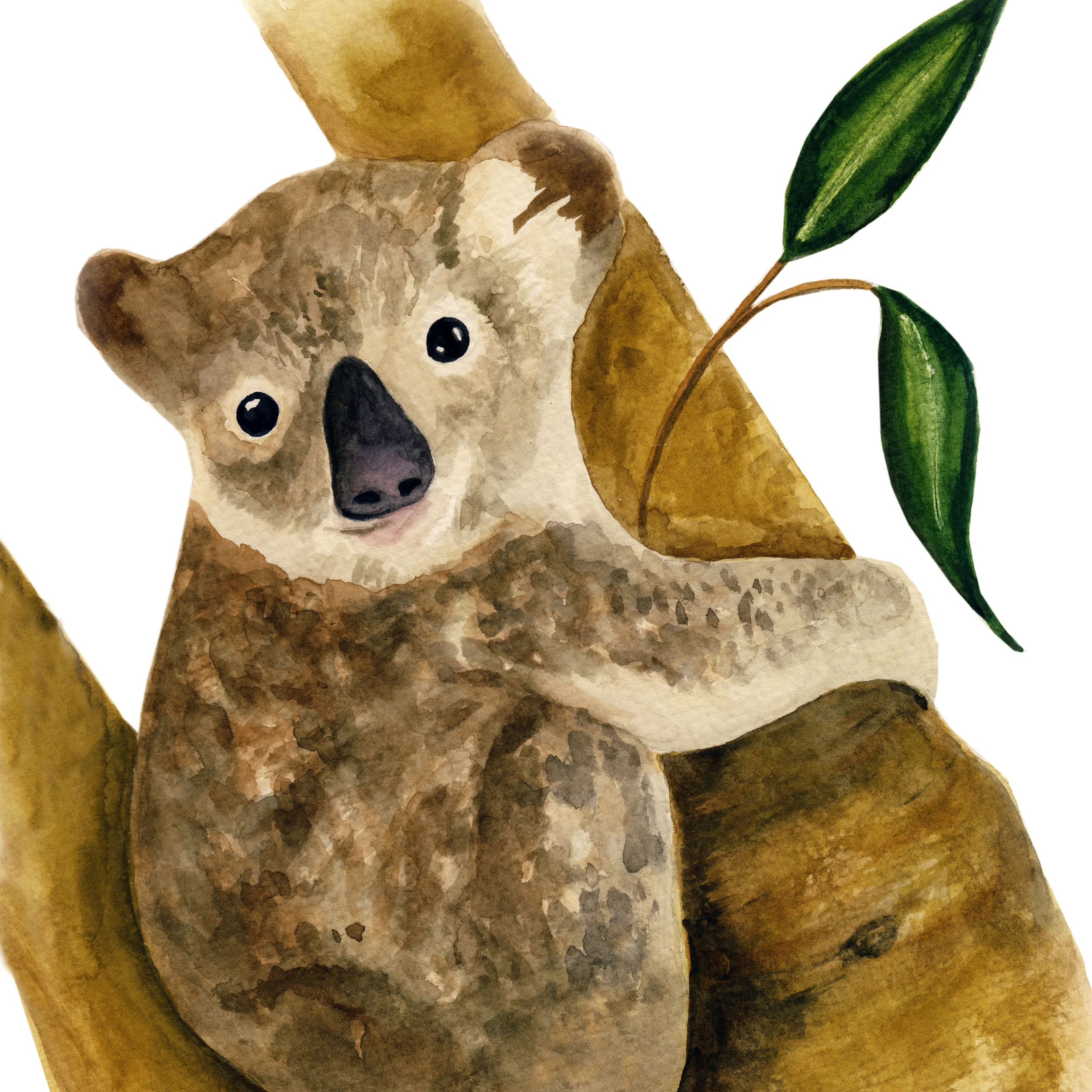 Watercolorkoala.jpg