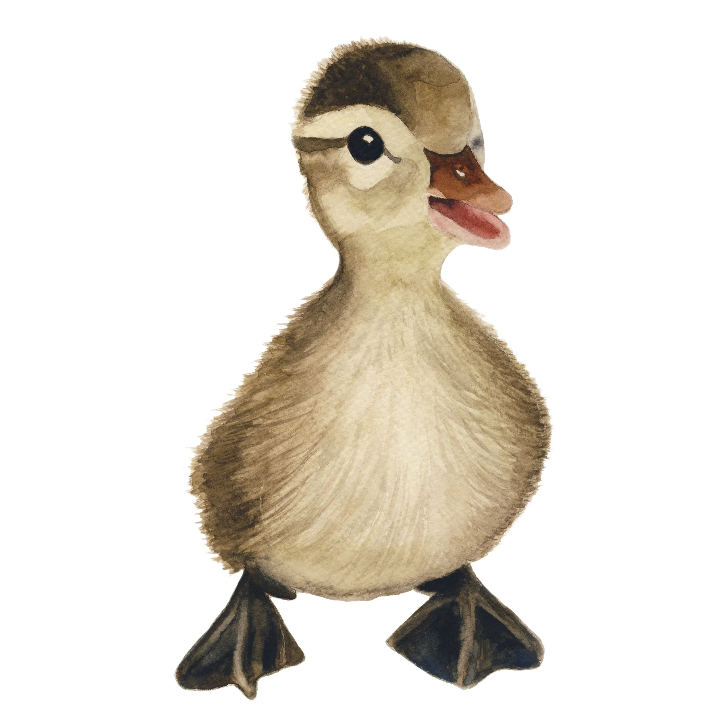 Watercolorduck.jpg