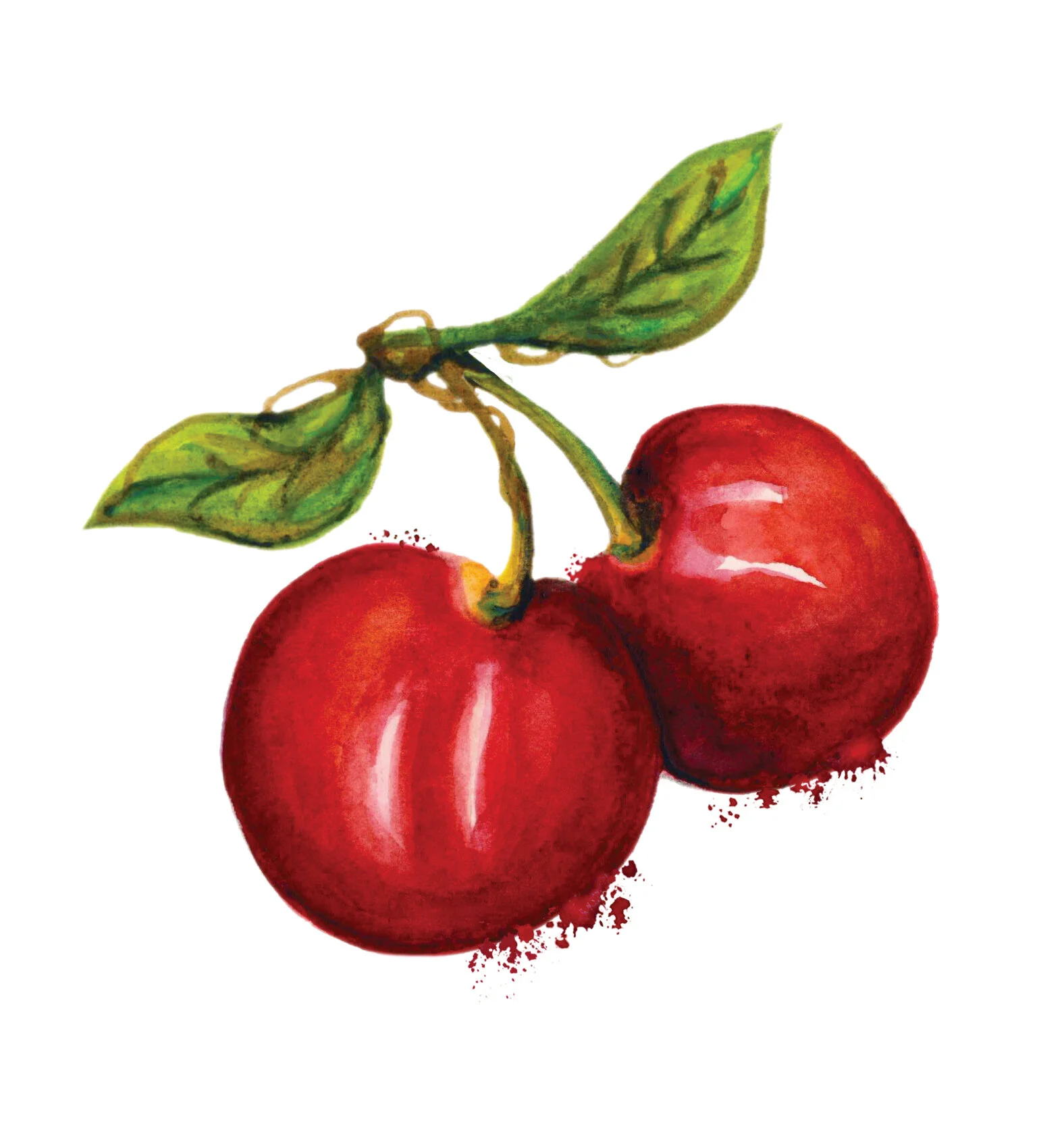 Watercolor Cherry.jpg