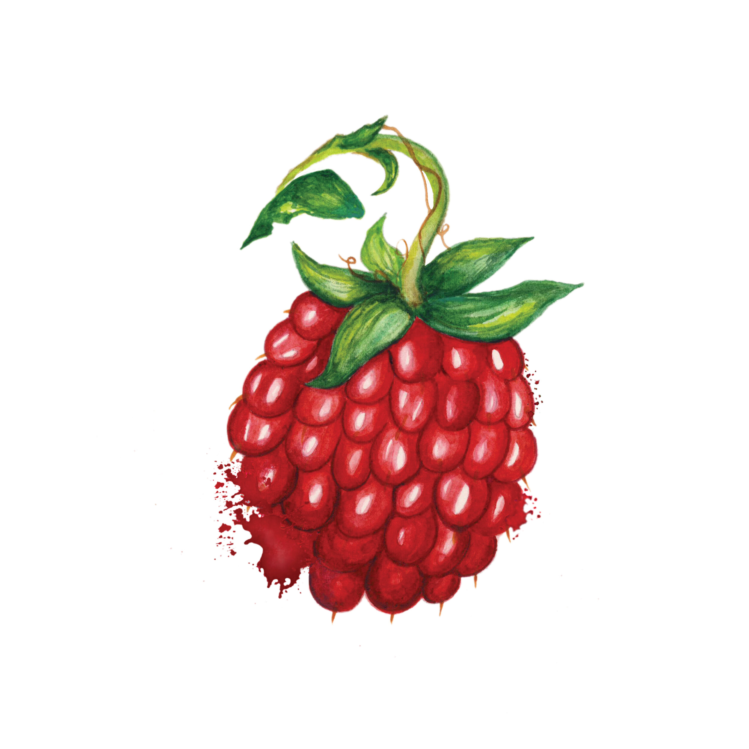 Raspberry.jpg