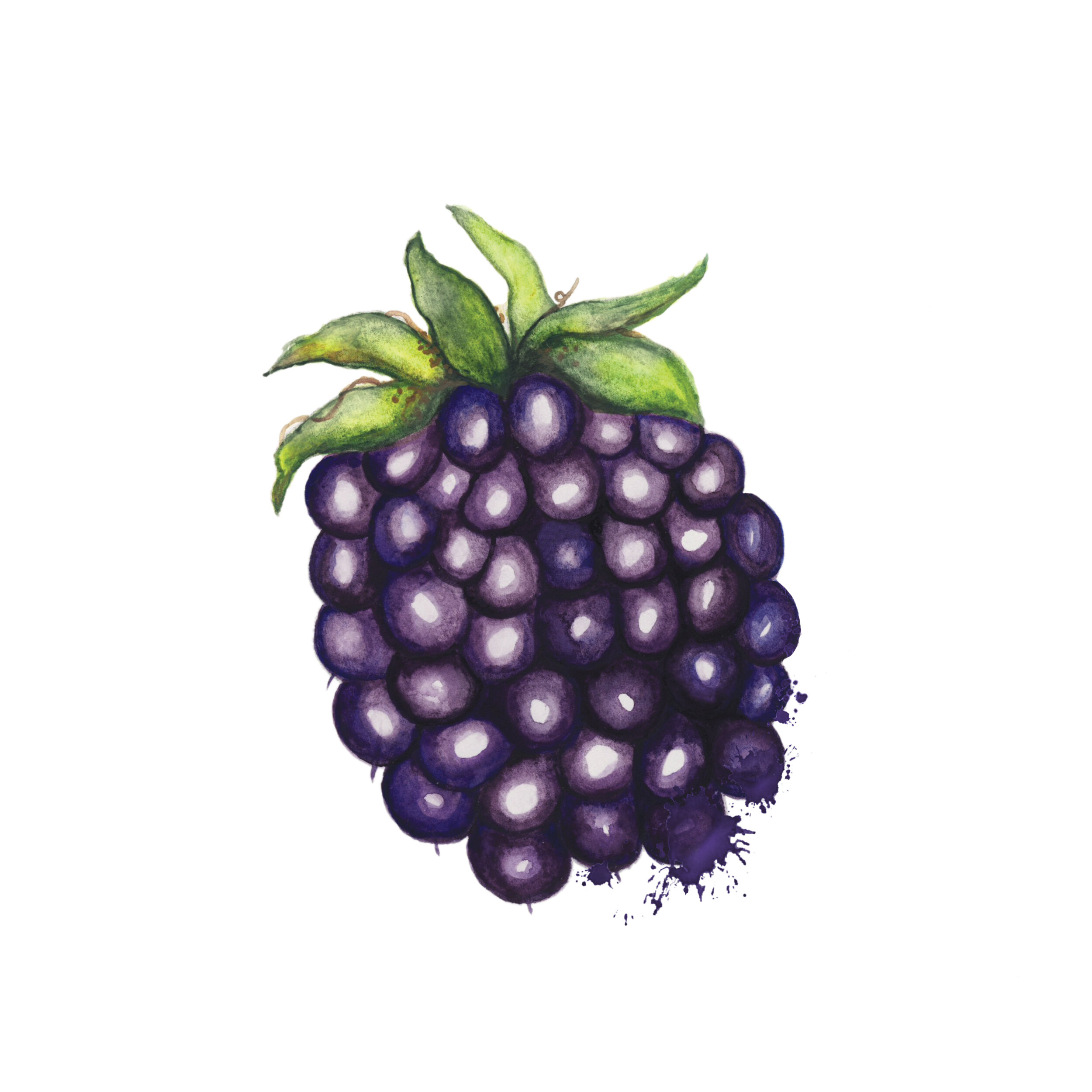 Blackberry.jpg