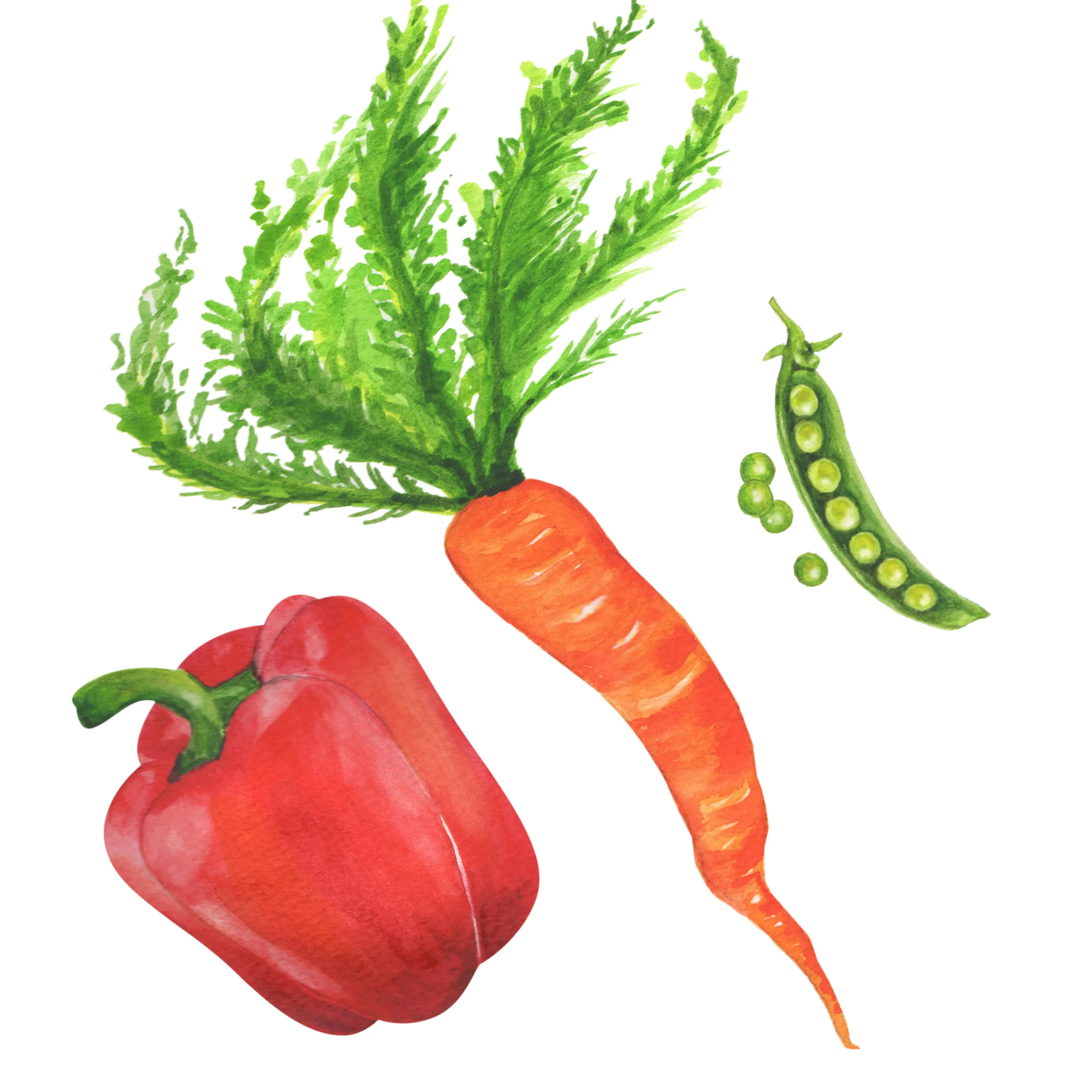 Veggie.jpg