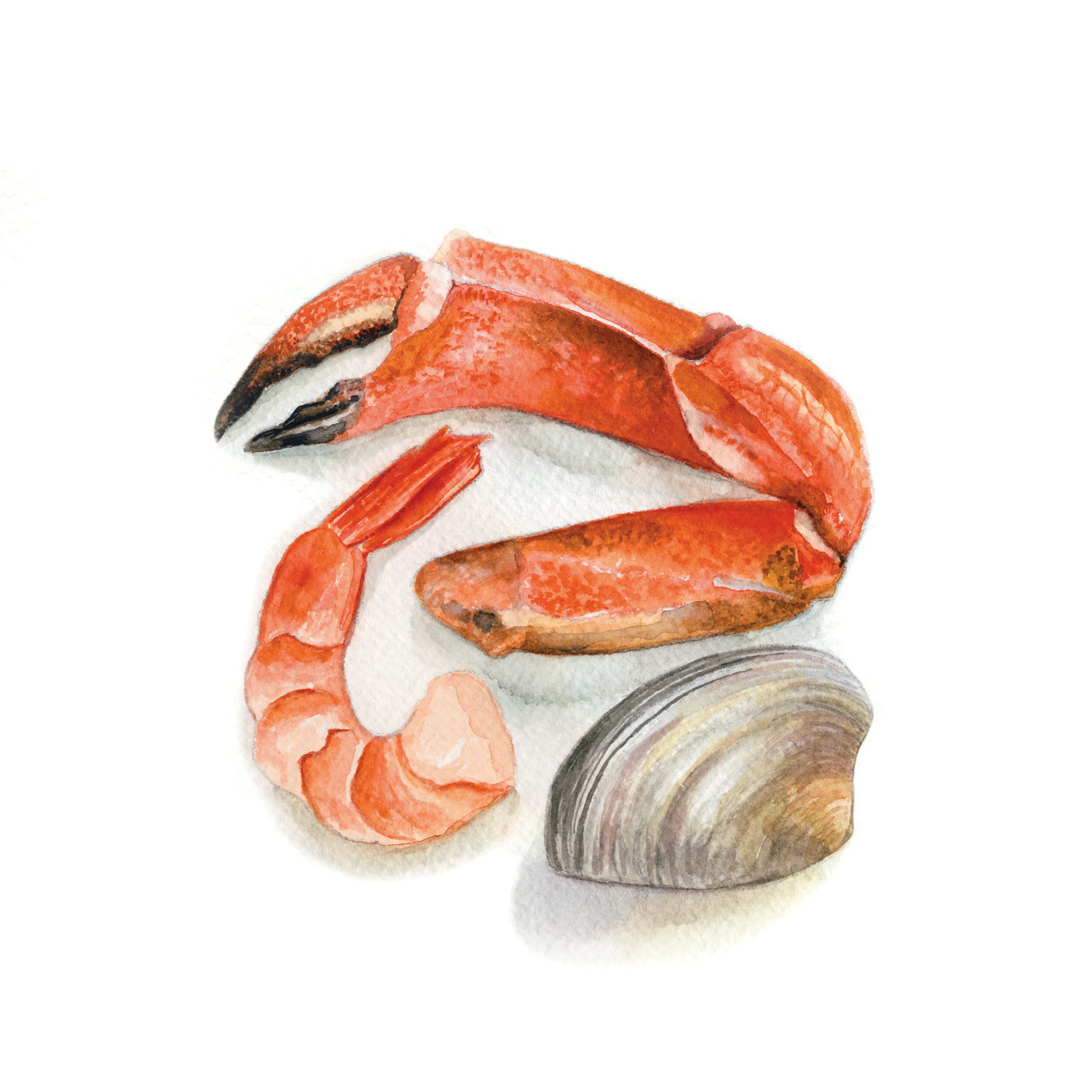 Crab Clam&Shrimp.jpg