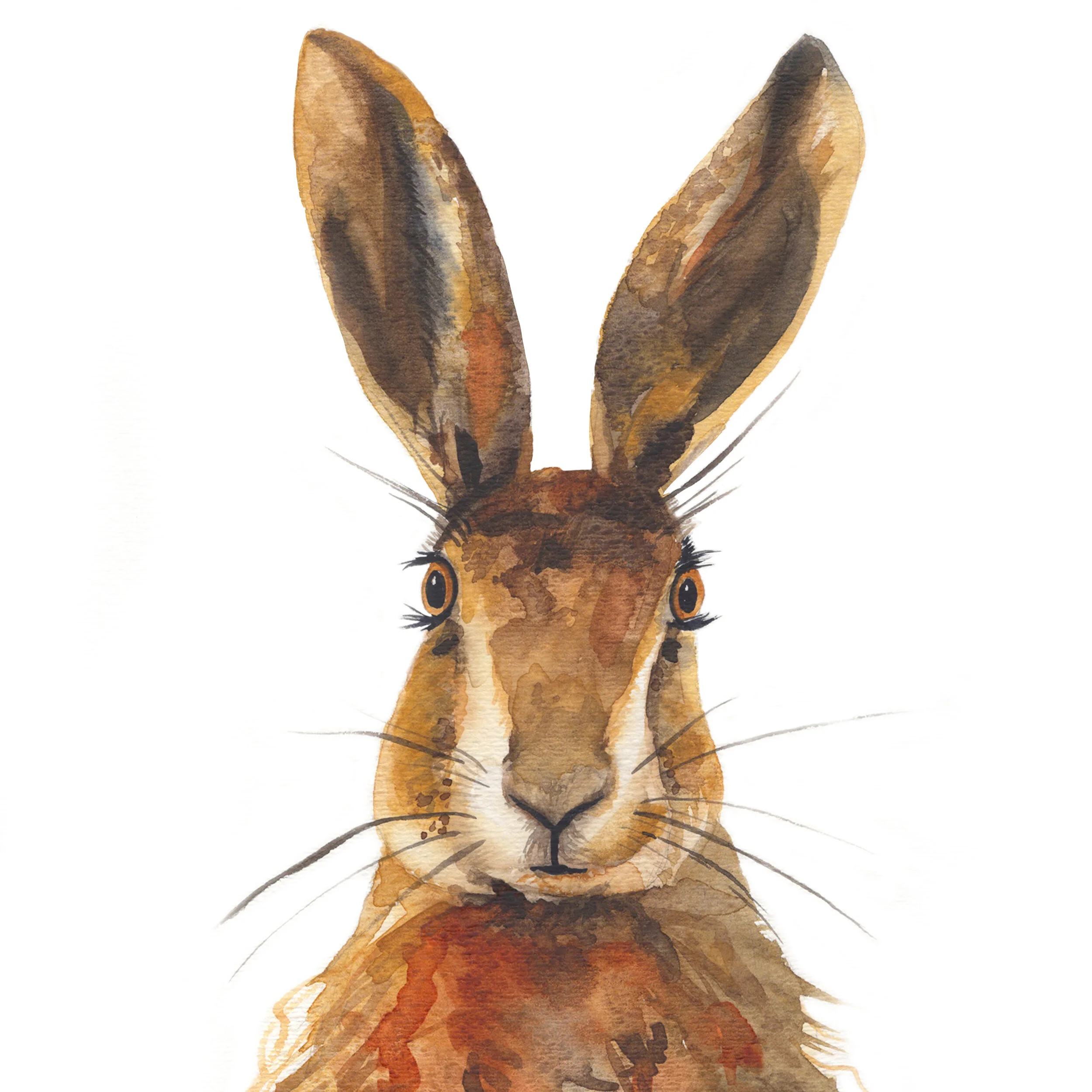 Watercolorrabbit.jpg