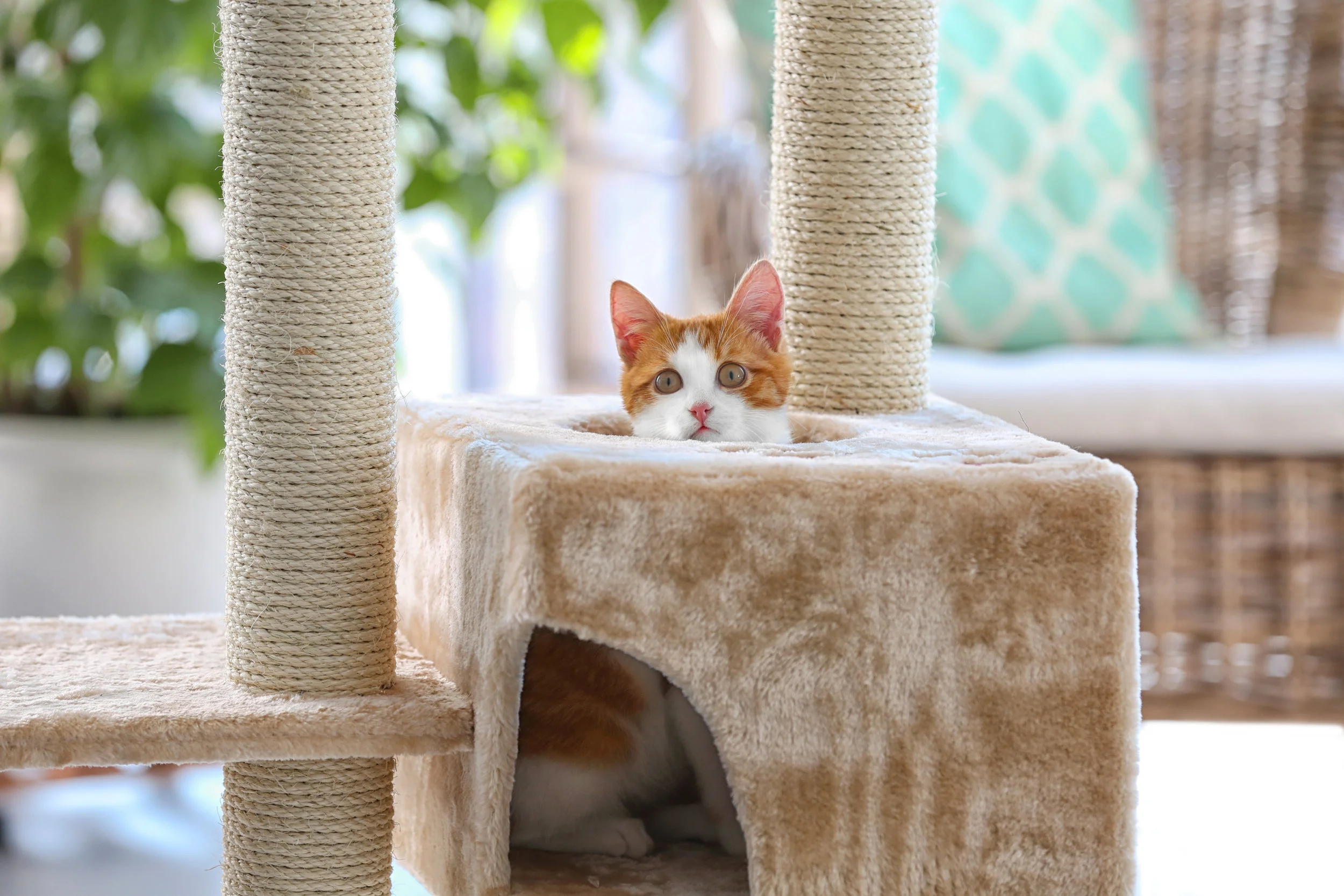 petmaker 3 tier cat tree