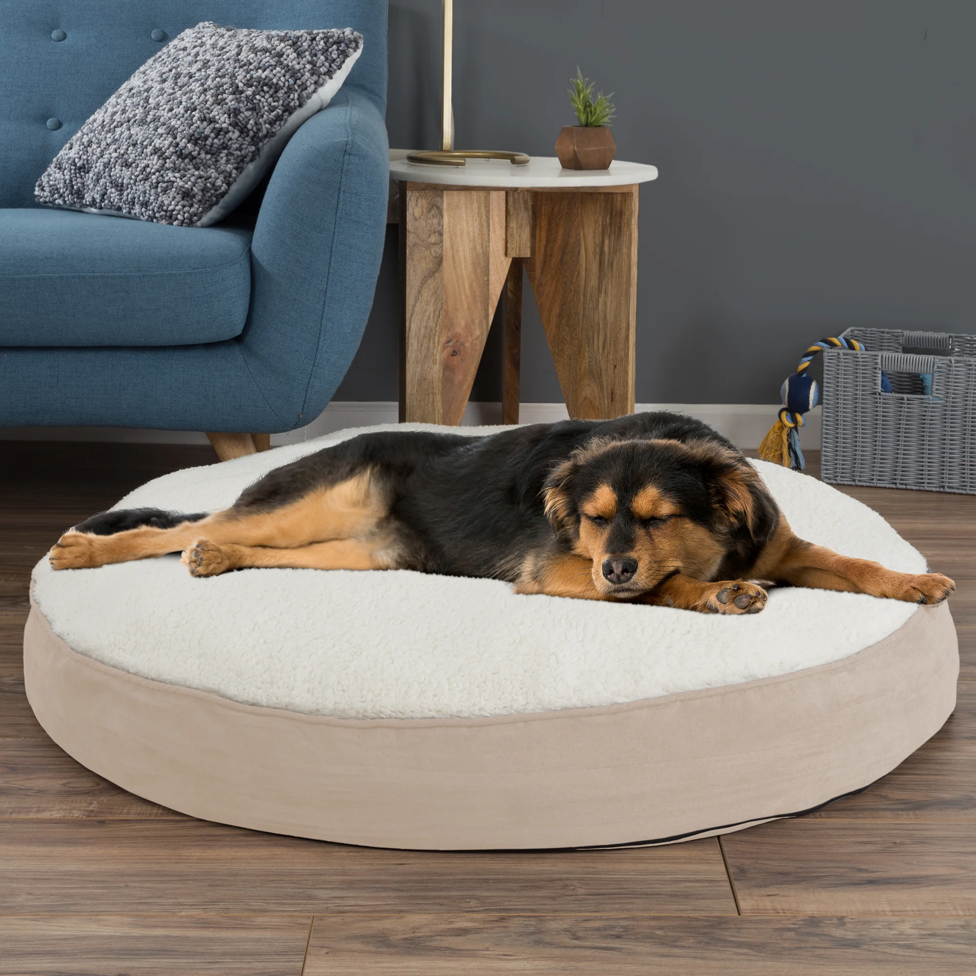 petmaker memory foam dog bed