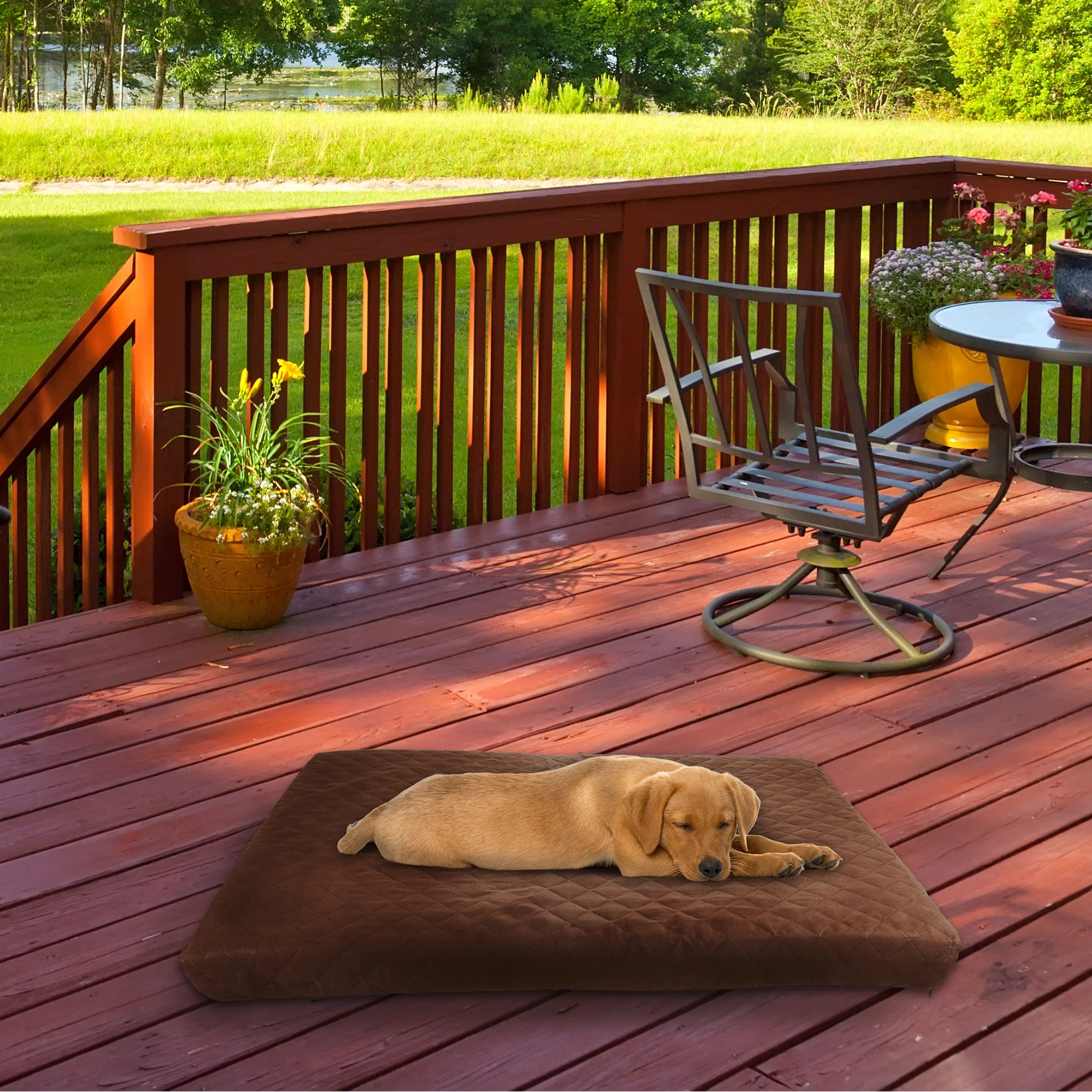 petmaker dog bed